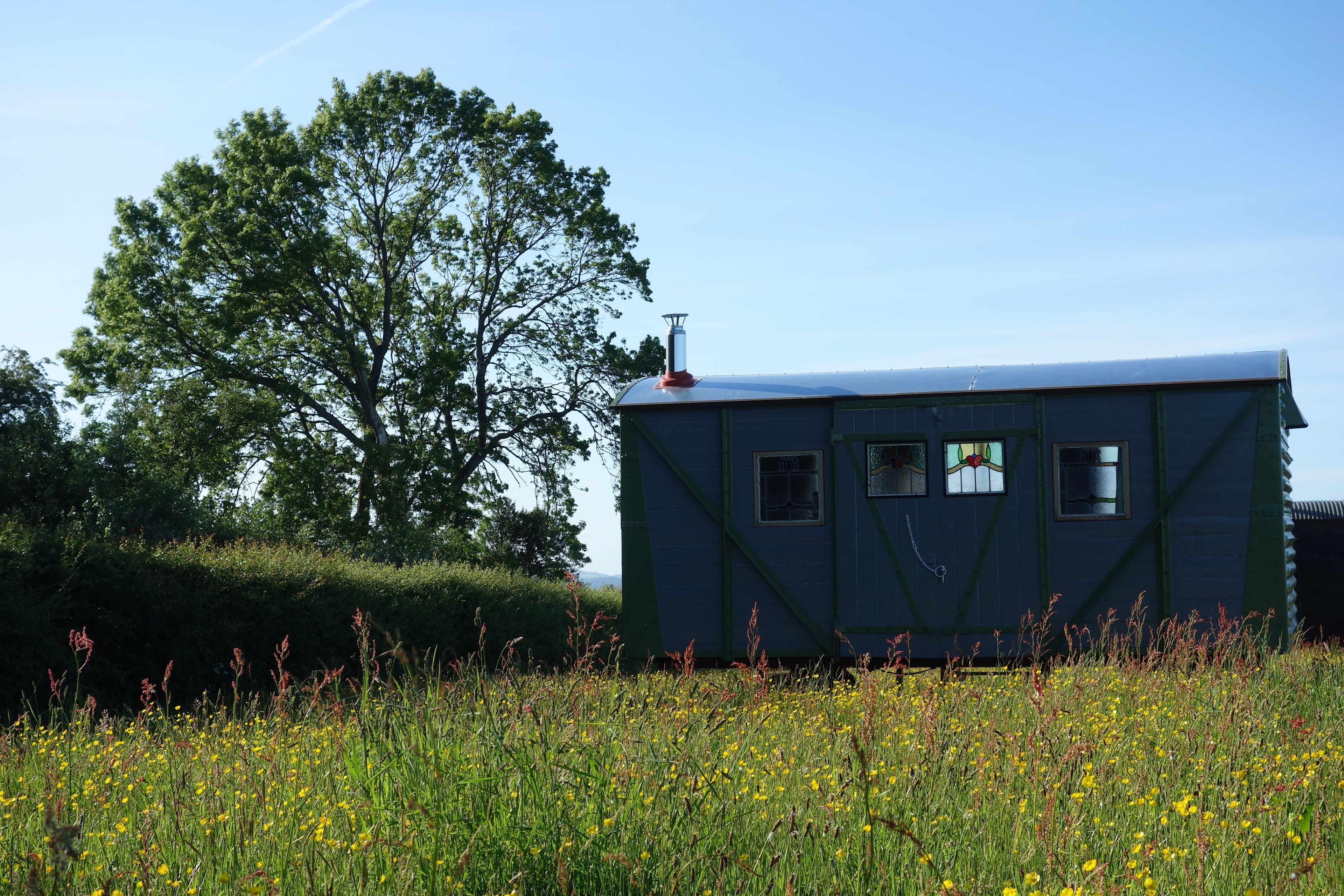 Cadora Woods Glamping