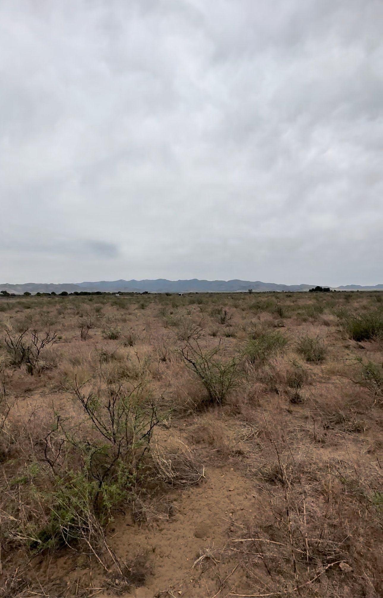 Sunizona Dark Sky Sanctuary