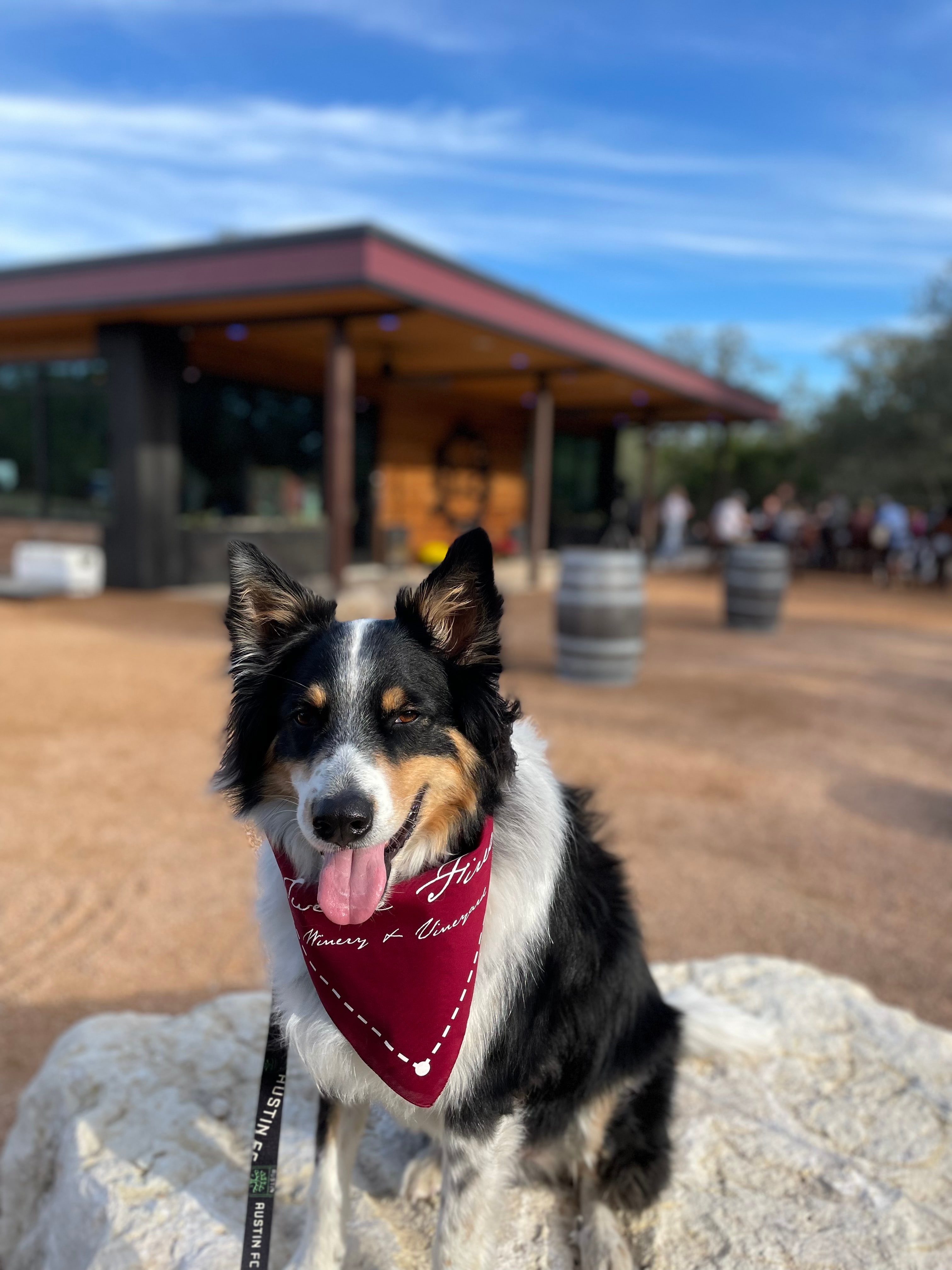 12 Fires Winery and Vineyard