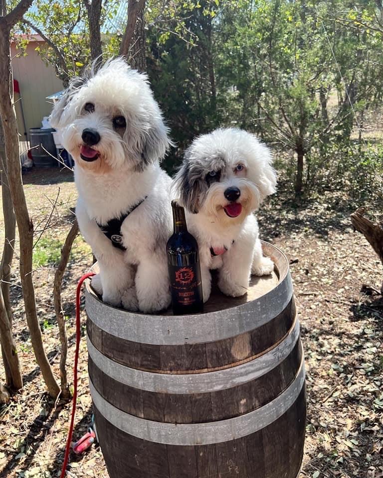 12 Fires Winery and Vineyard