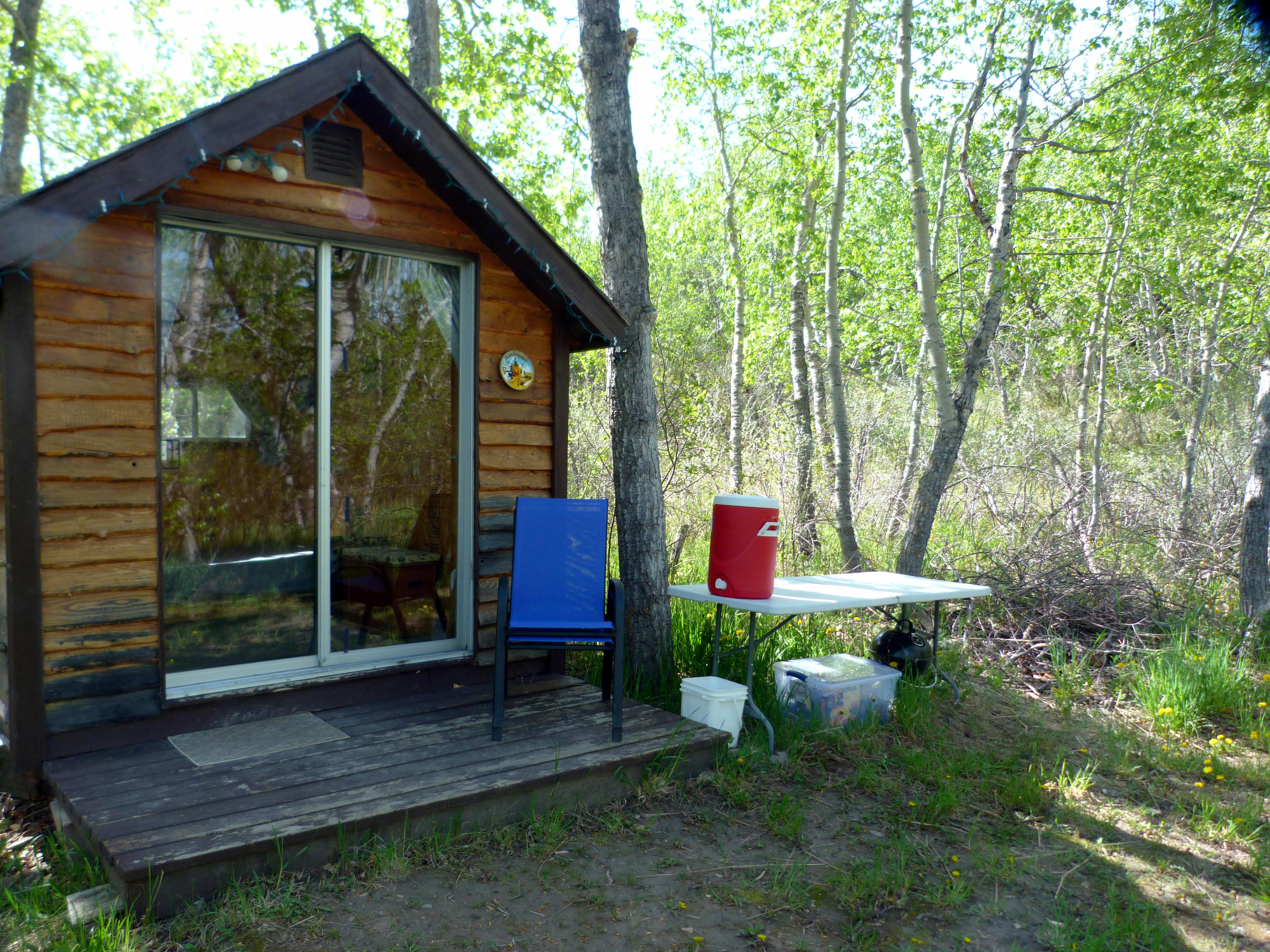 HollyWoods - Near Waterton NP