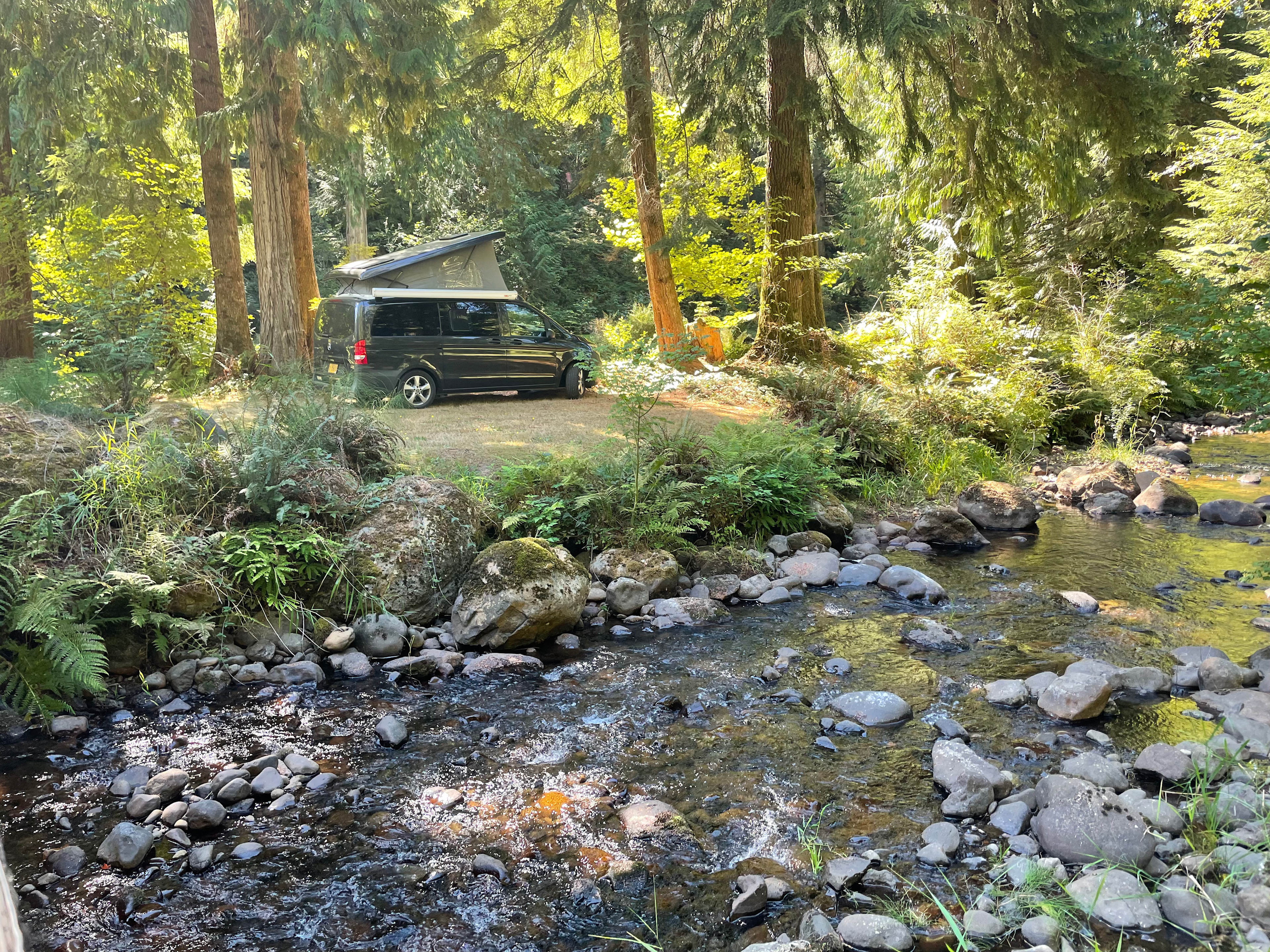 Camp Cedar Creek ⛺️🌲🚐
