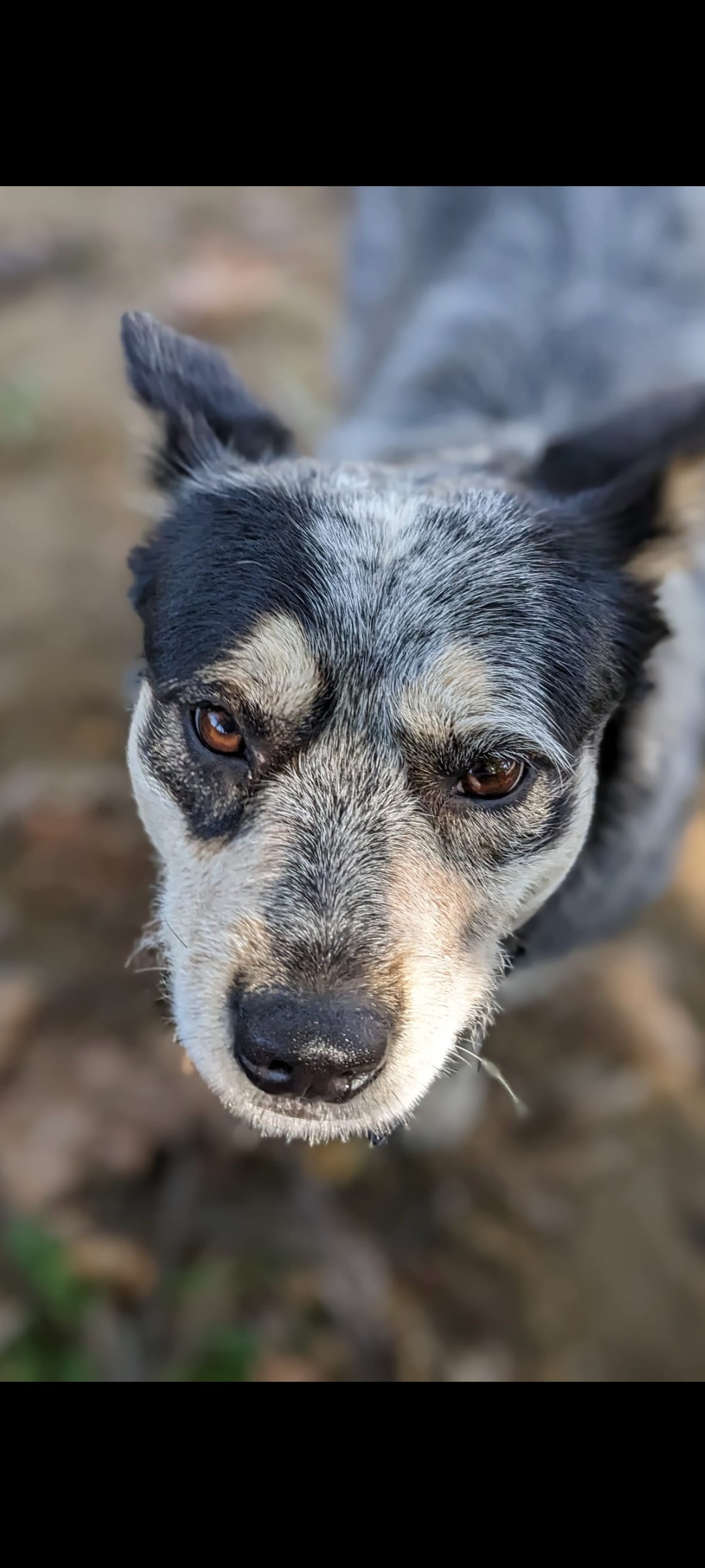 Down by the Hawkesbury - Exclusive