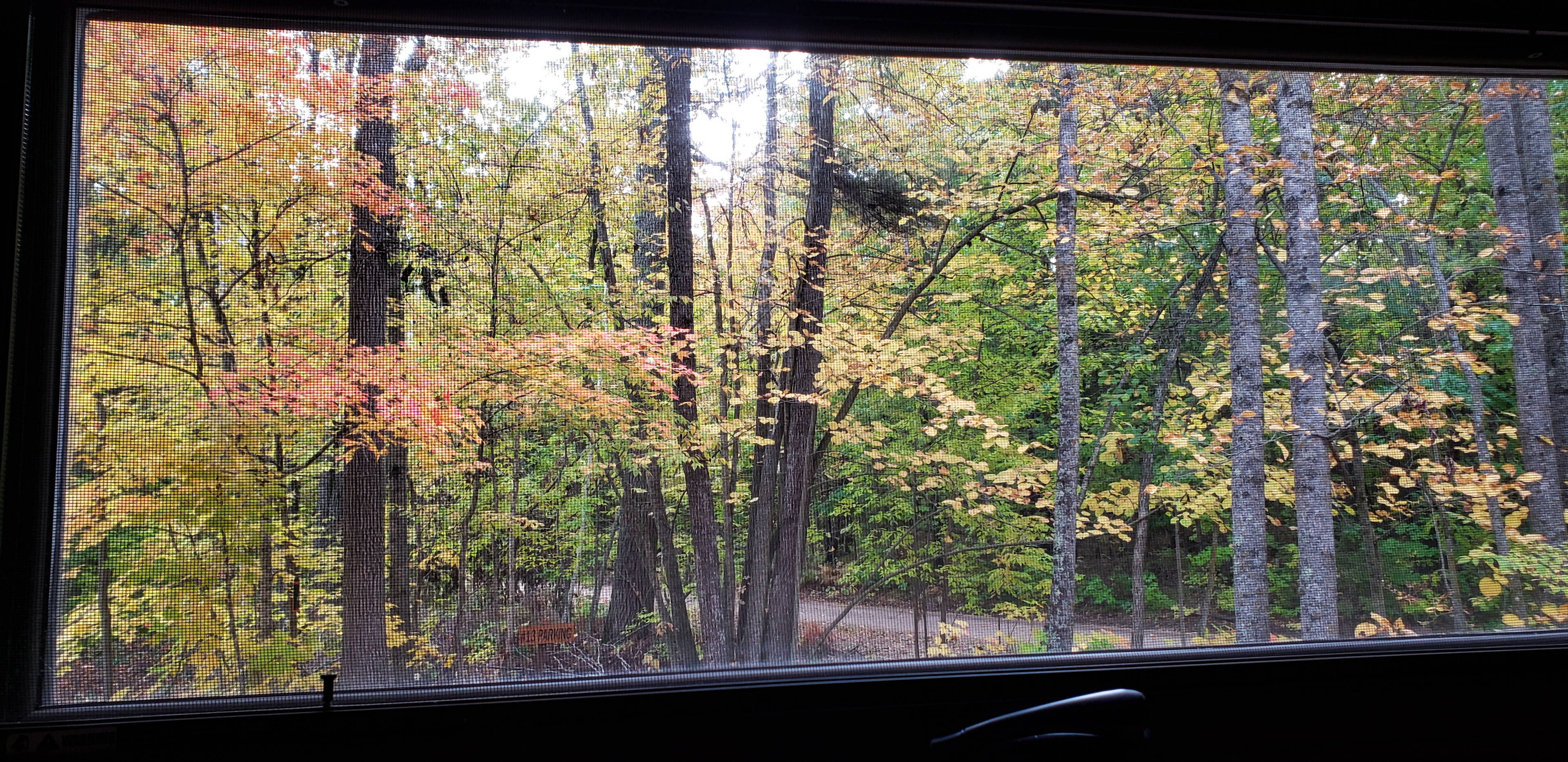 Timberlost at West Crooked