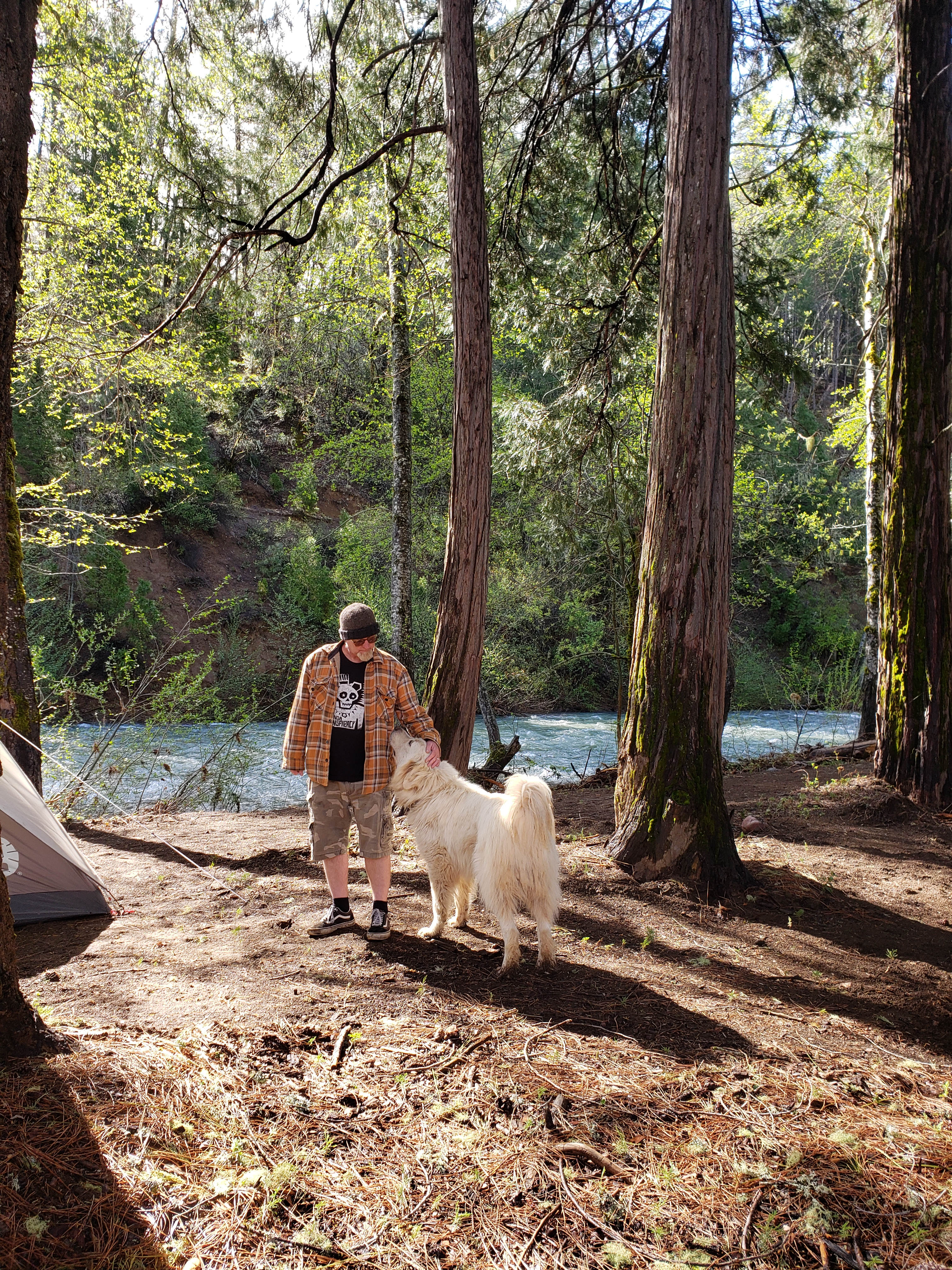 Friendly ranch dog Polo paid us a visit 
