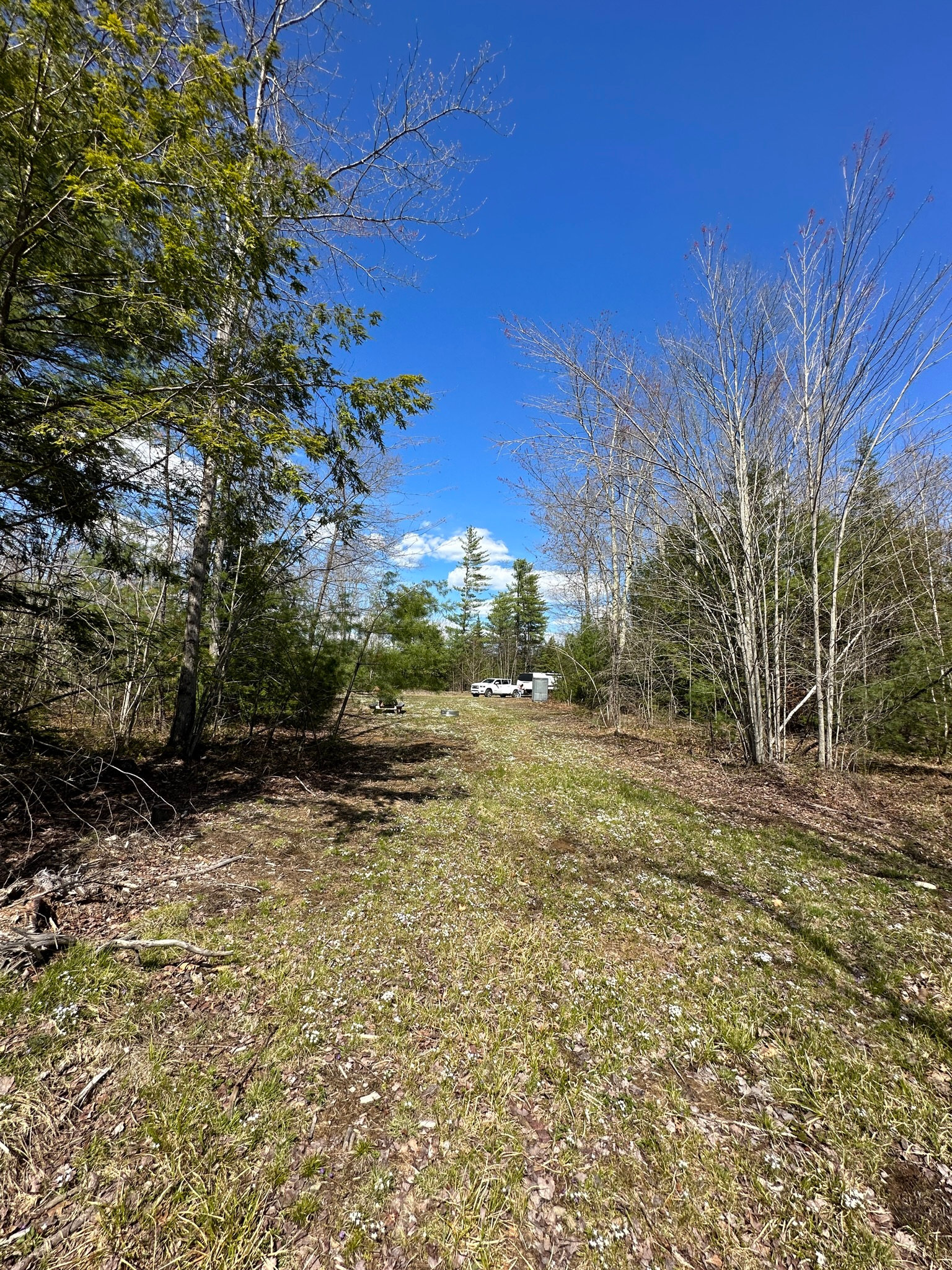 lens skews perspective. nice picnic table and large fire pit, with room for a camper. the 15-20' wide clearing continues for 50 feet past the fire pit 