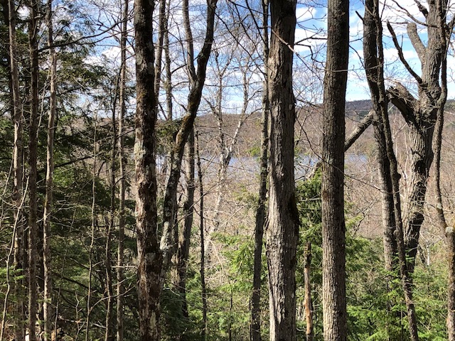 View of Salmon Trout lake and sunets