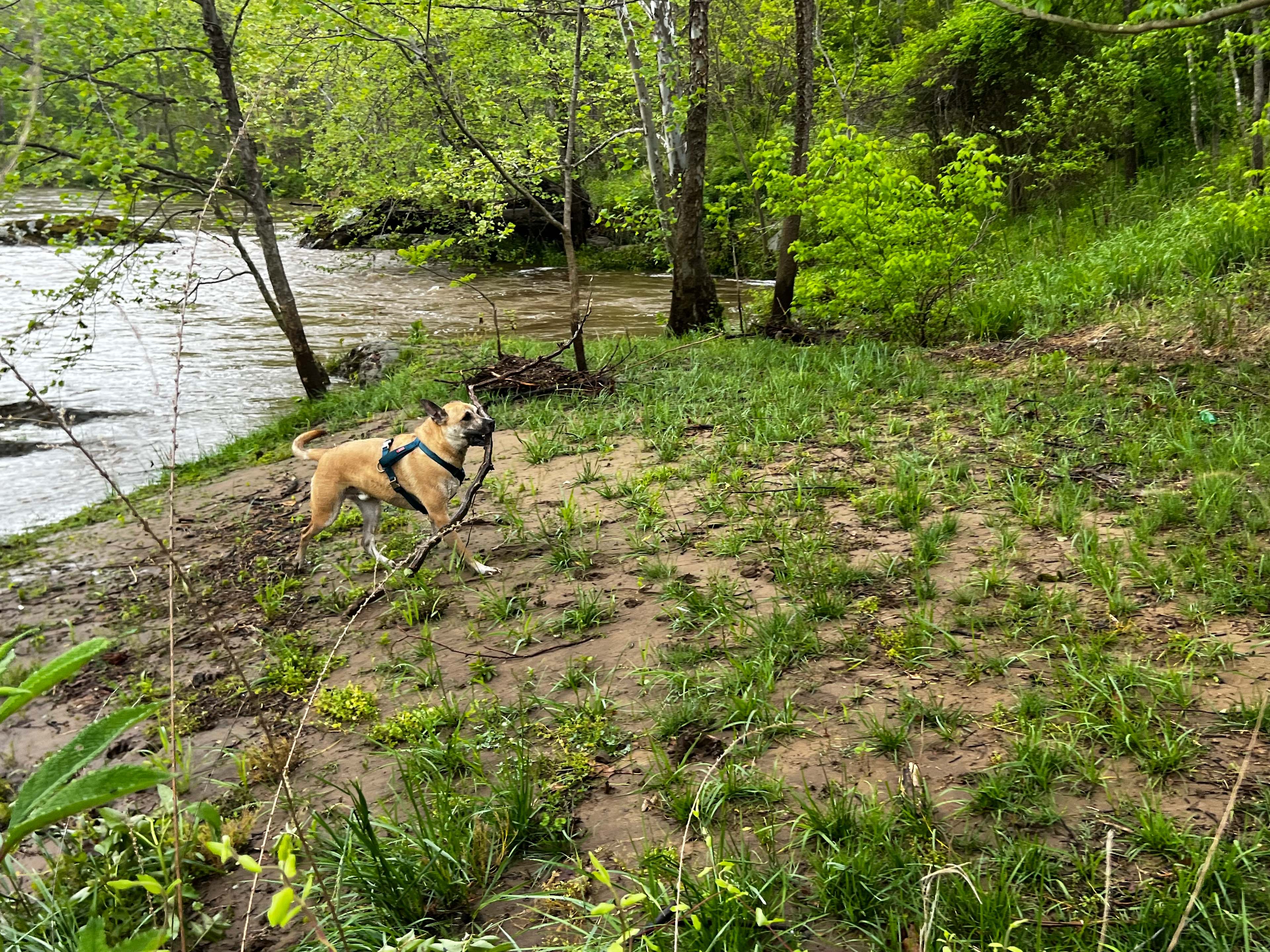 Rockfish River Landing