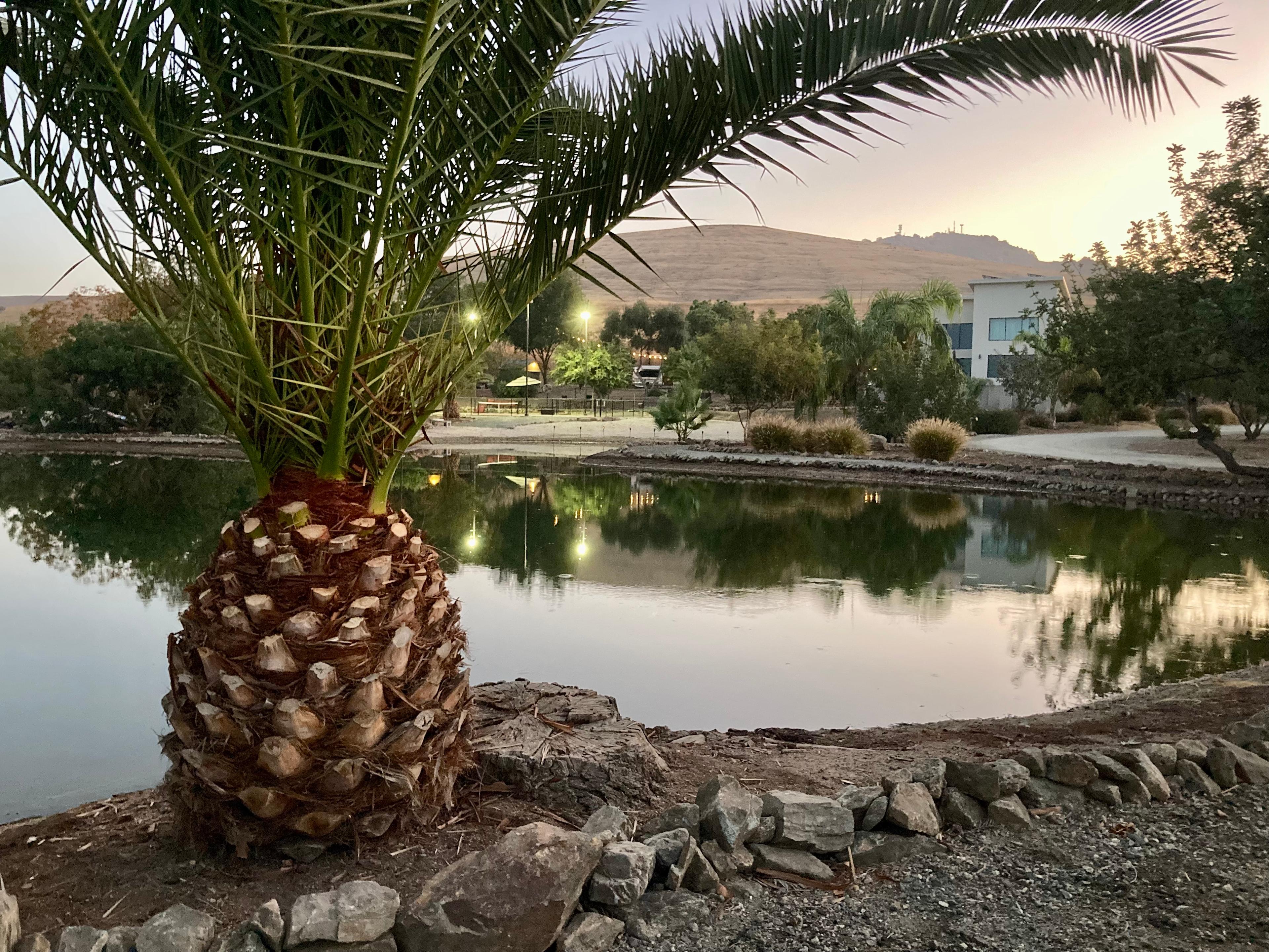 Lucky Dog Ranch with Pickleball