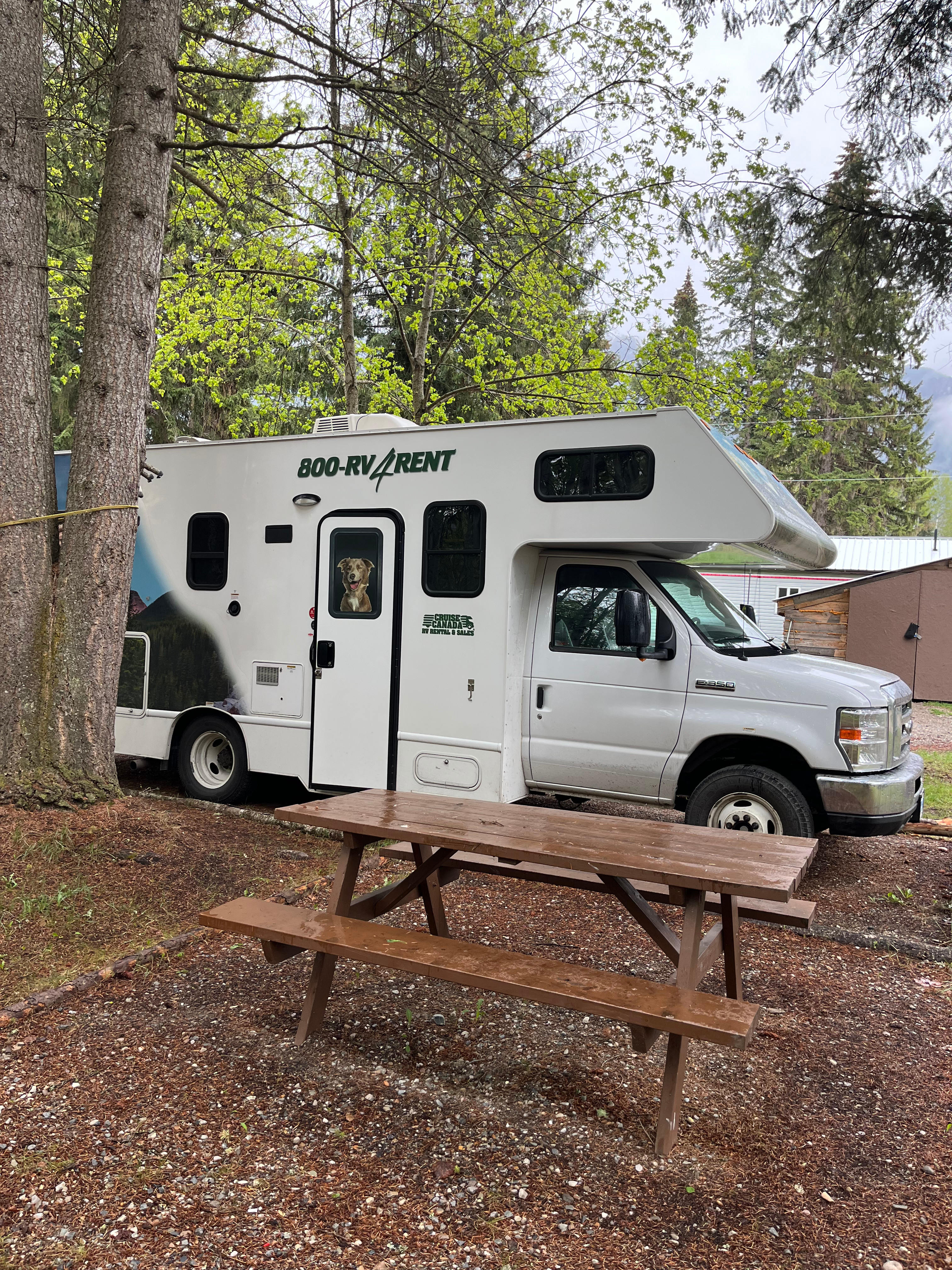 JCB Cabins and campground