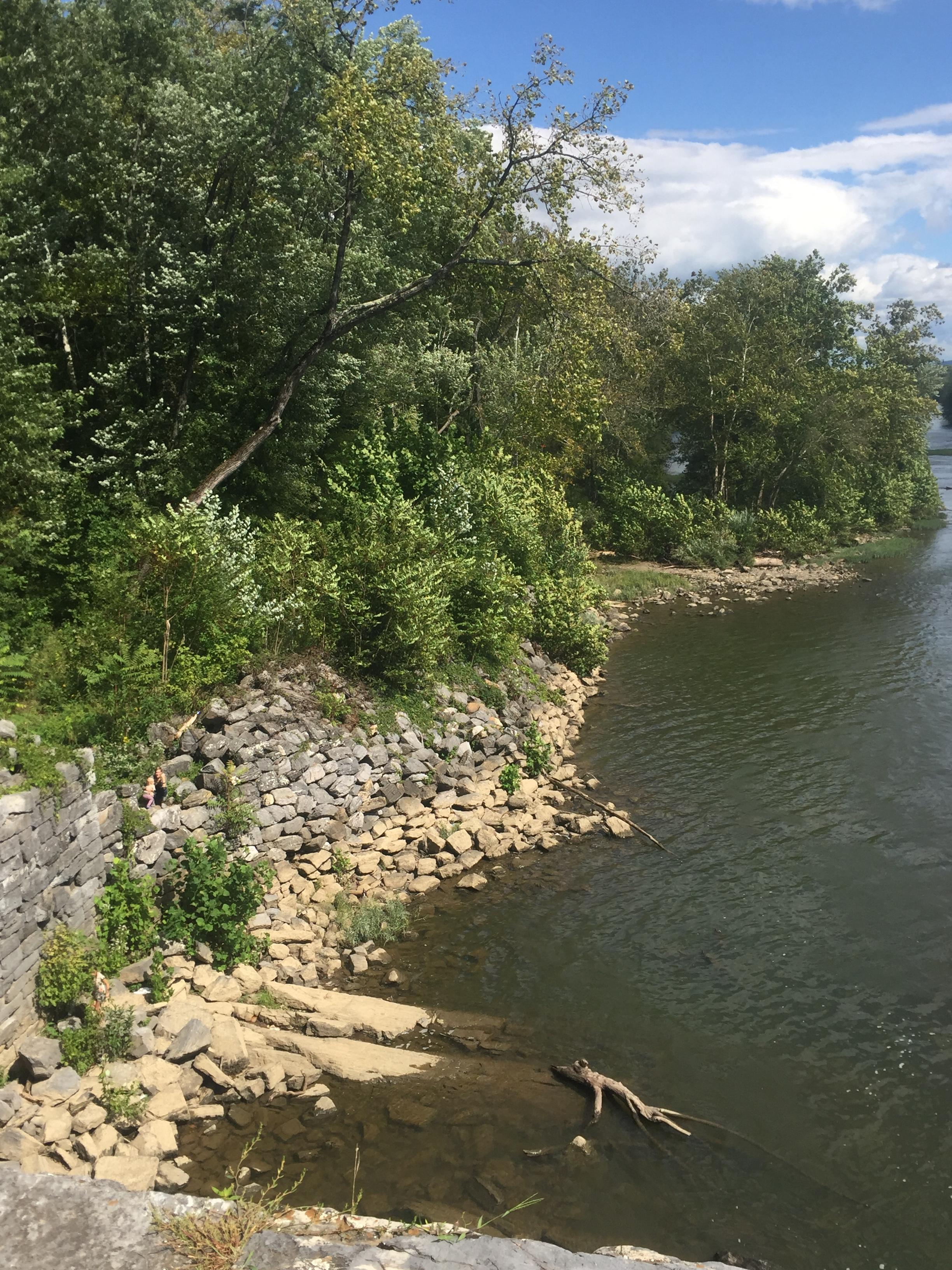 Taylors Landing Camping Club