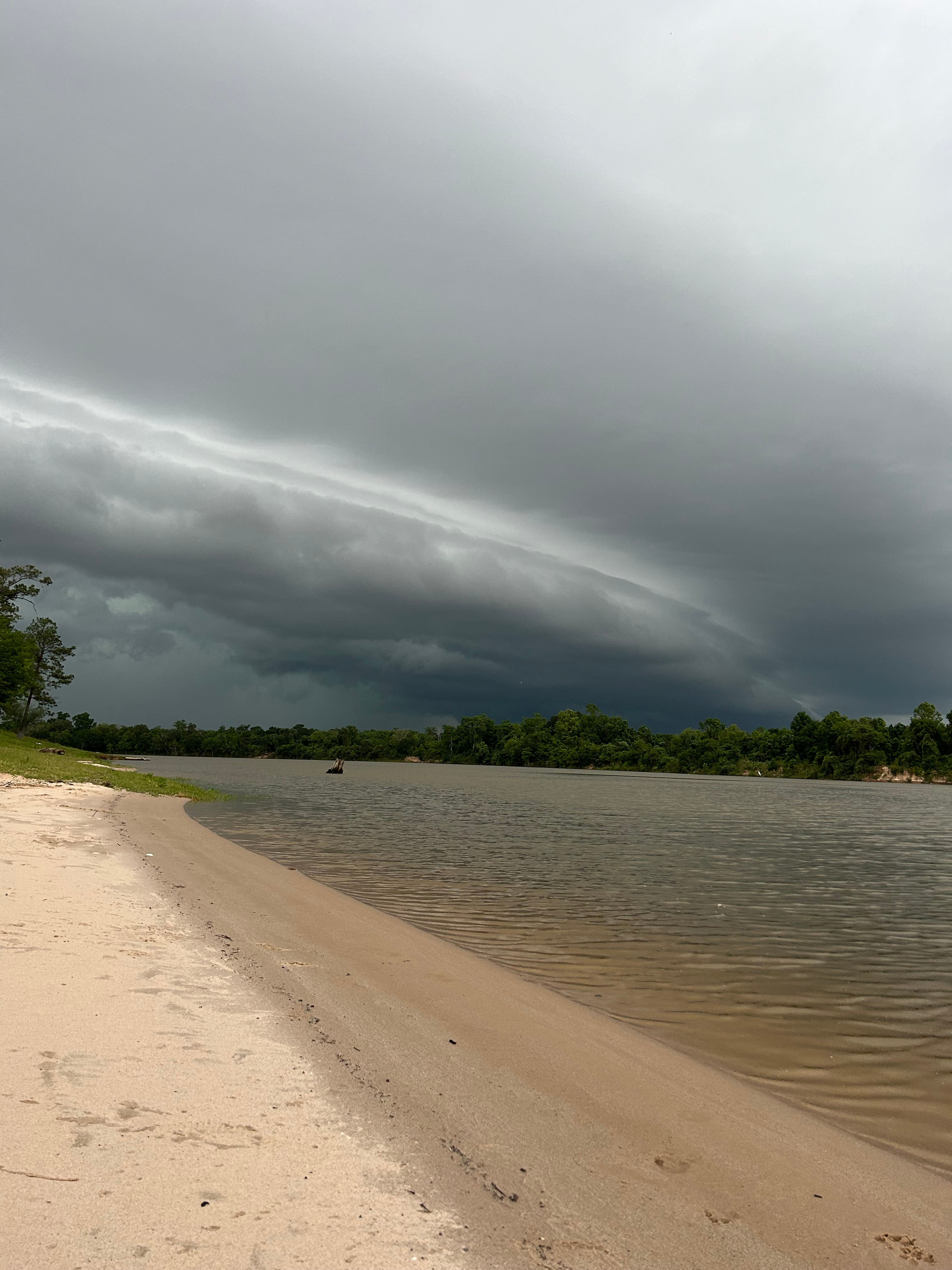 Magnolia Gardens Park