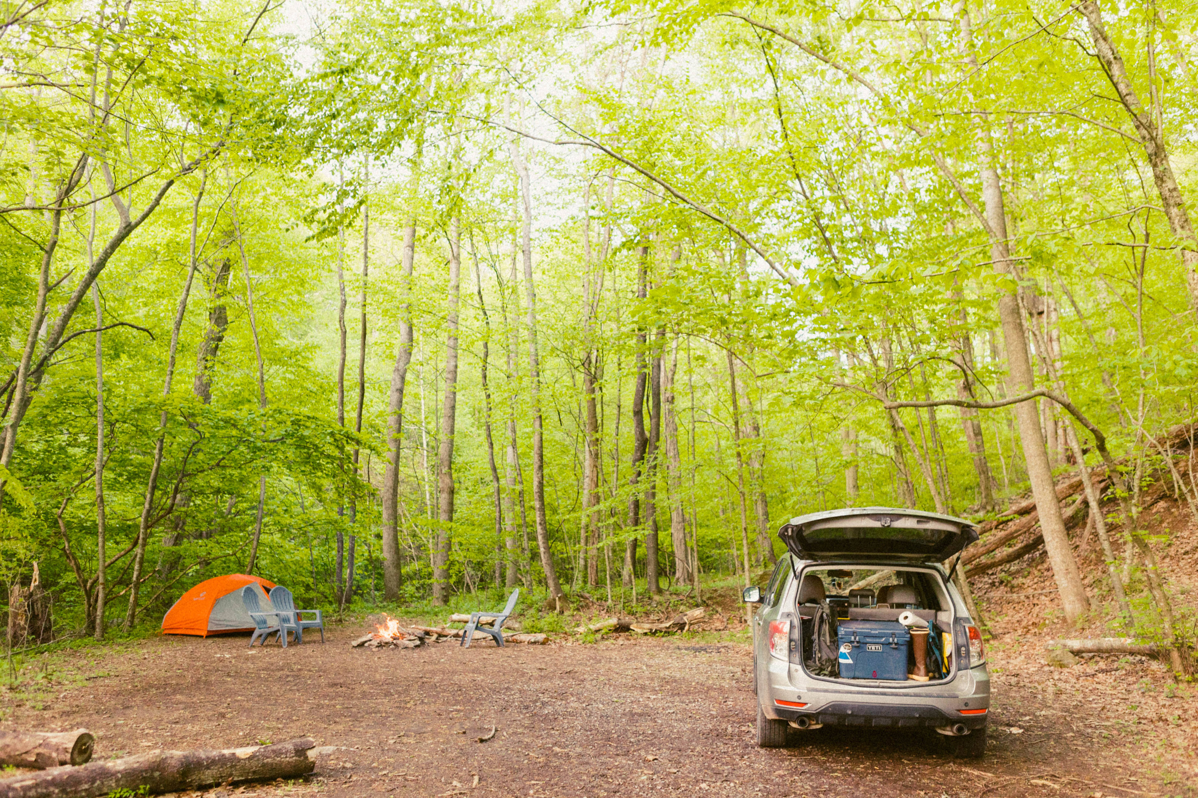 looking into the site from the road