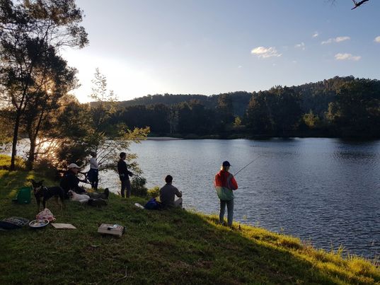 Pepper’s Farmstay South Coast