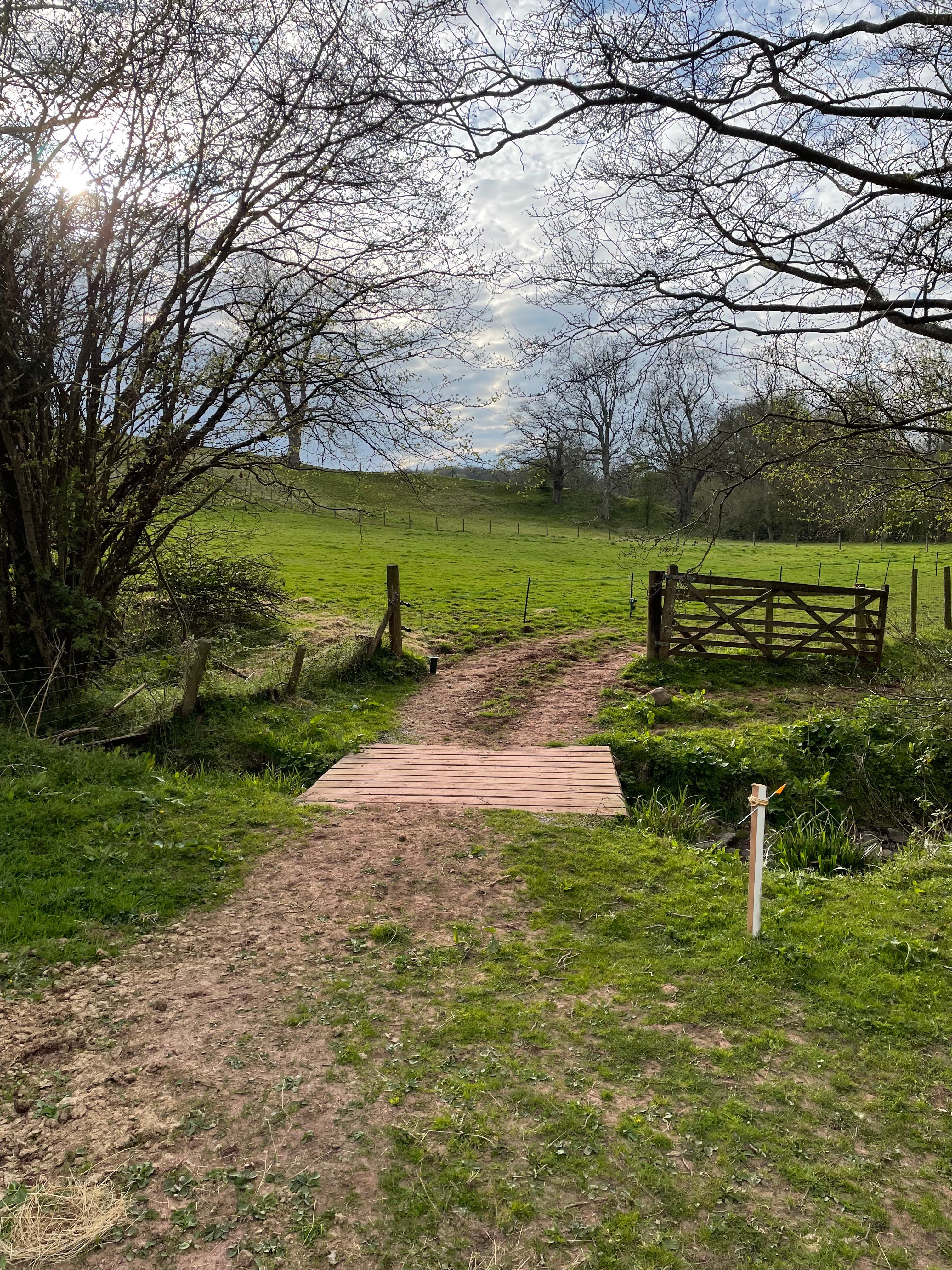 Pytingwyn Woods