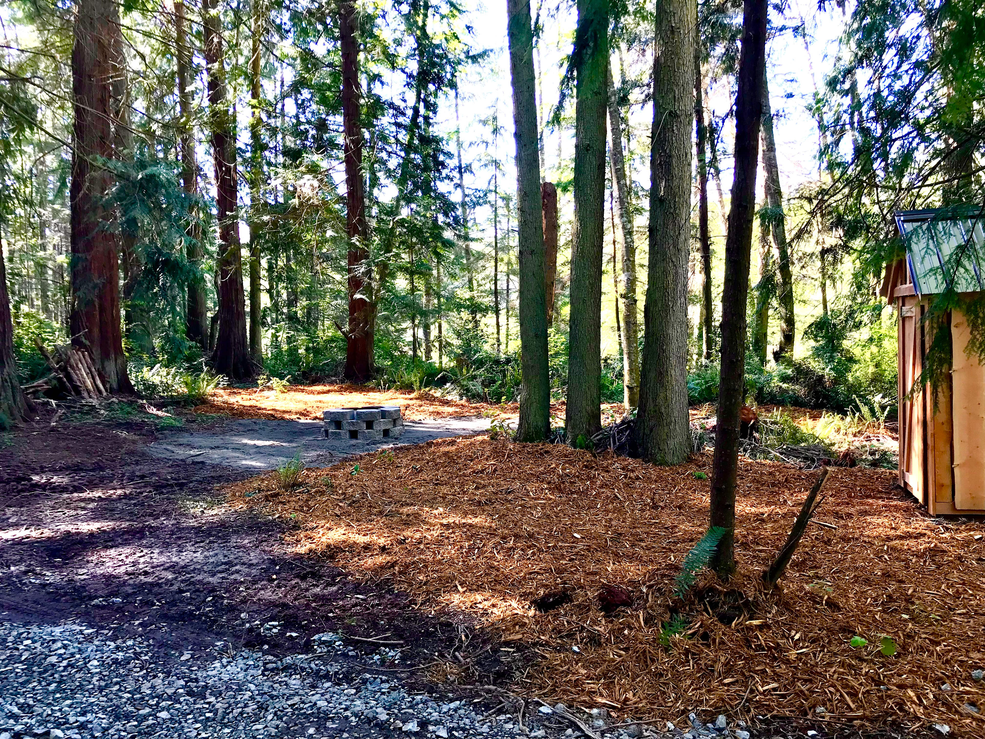 The Last Of The Wonder Woods