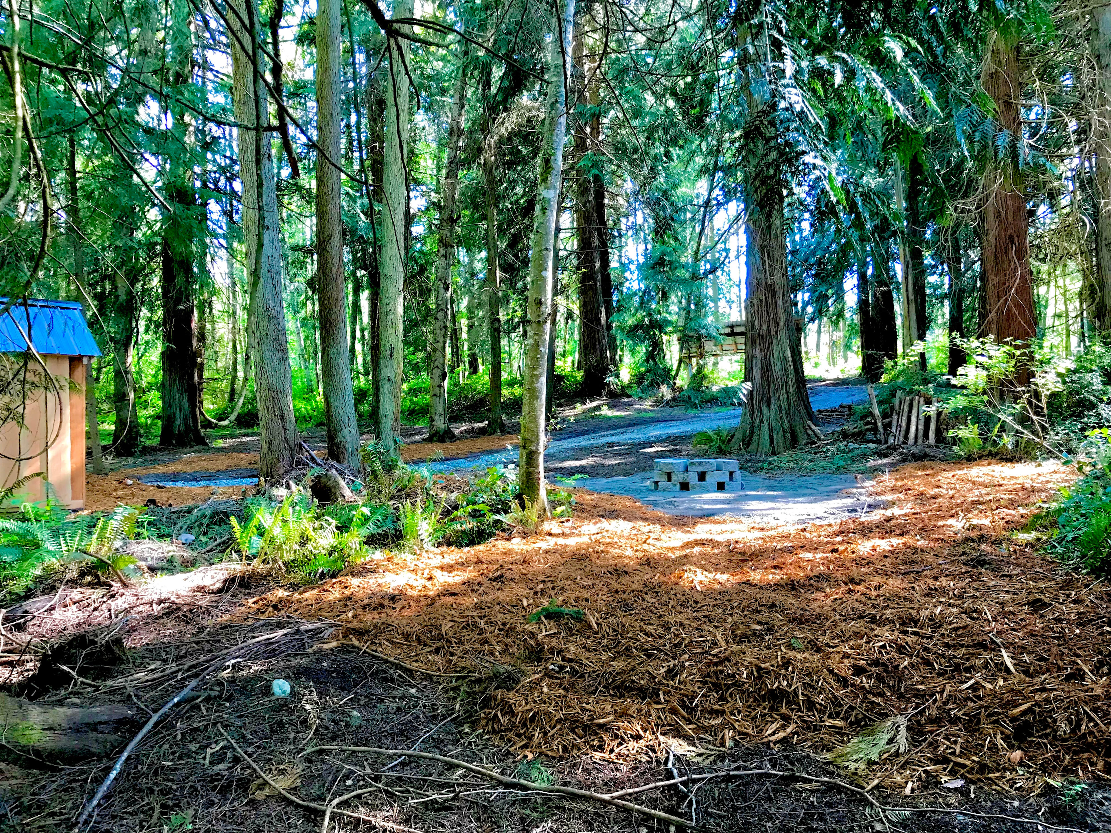 The Last Of The Wonder Woods
