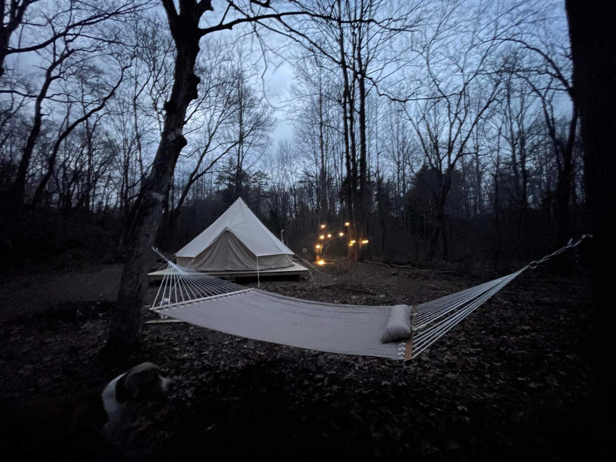 2nd40 to 420 - The Farm