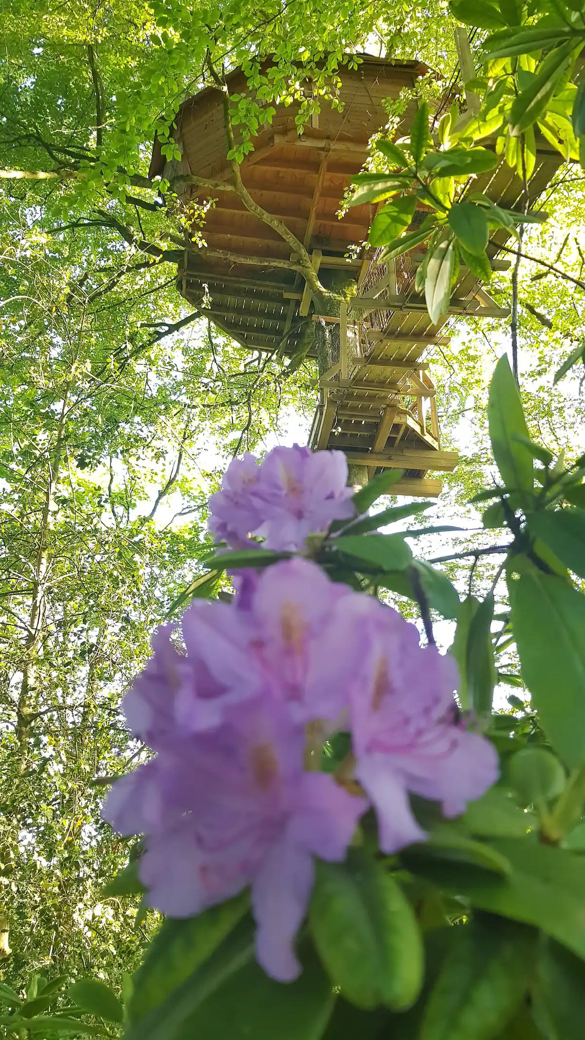 Le Domaine de Wail Legends Resort