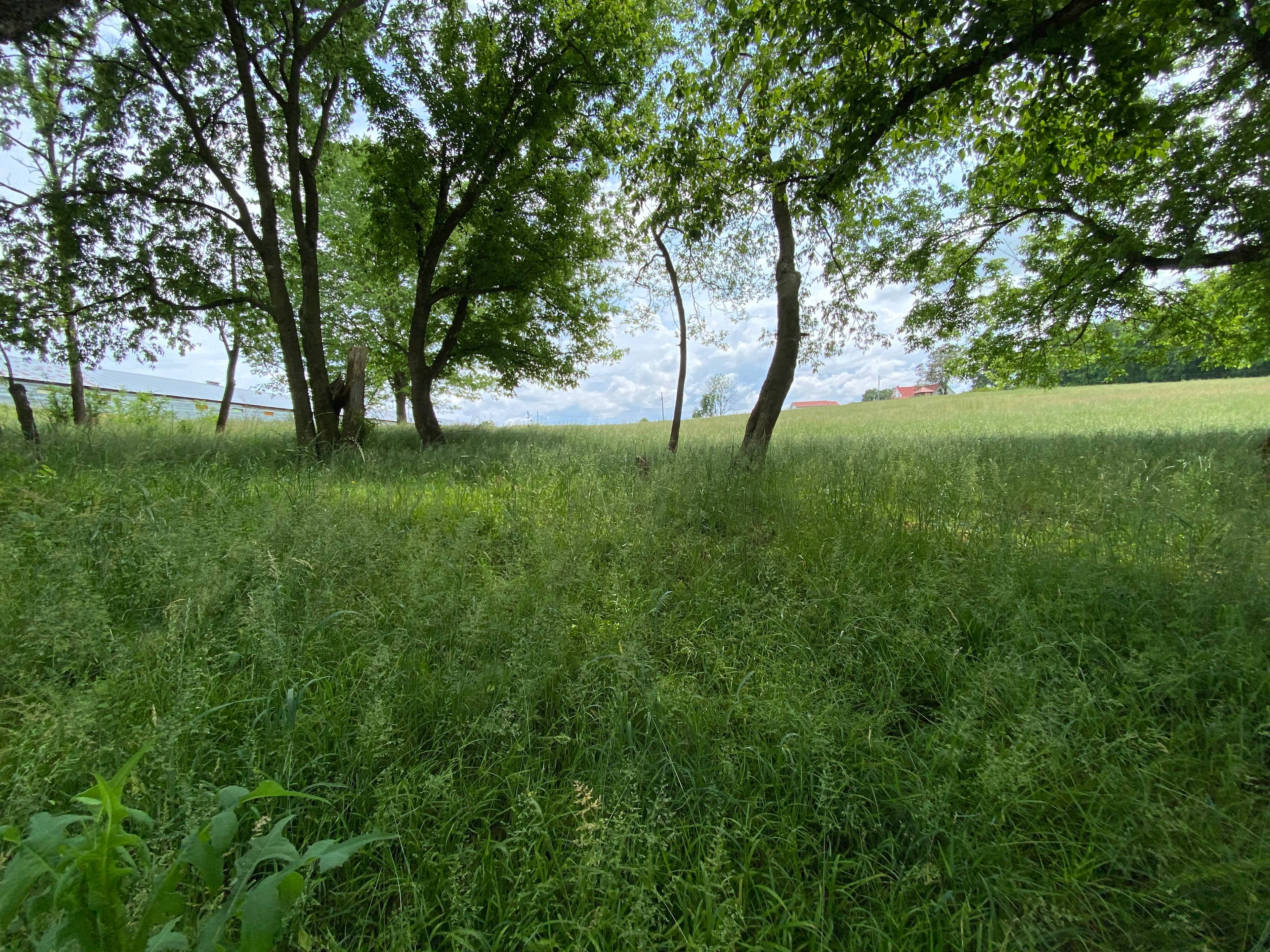 TnMtnFarm