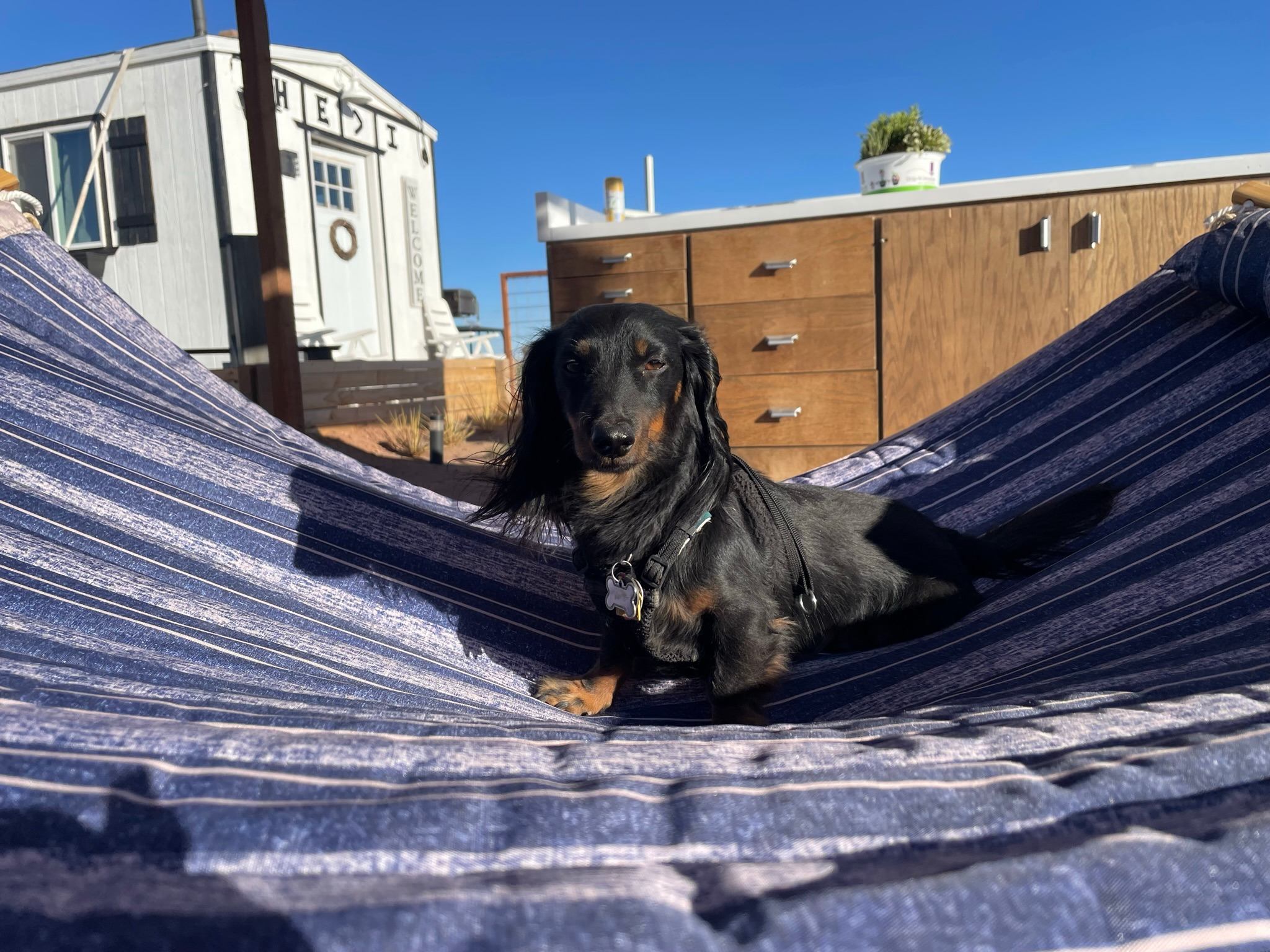 Star Gazing Cabin #2