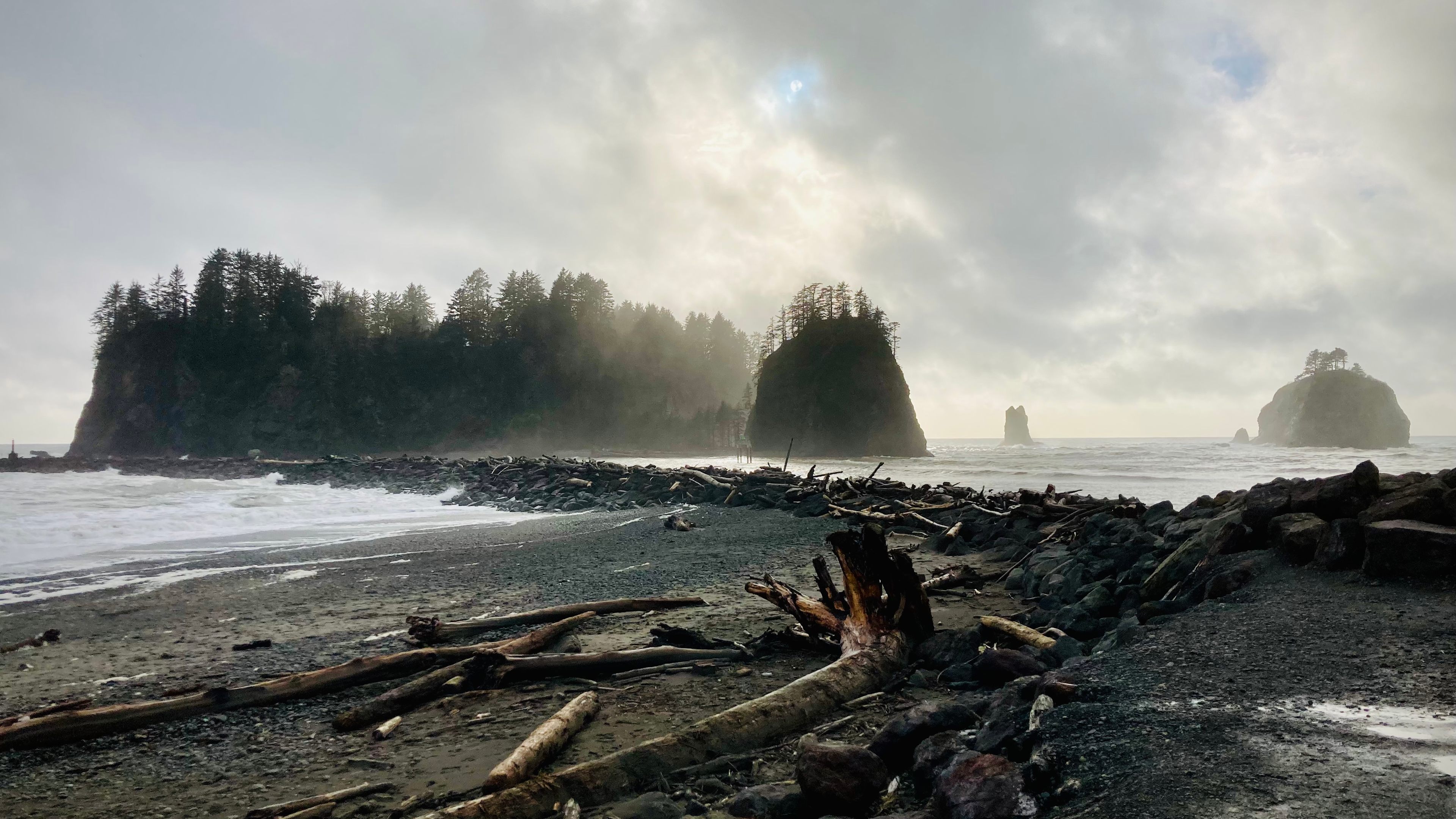 Coastal trails (LaPush, Washington)
