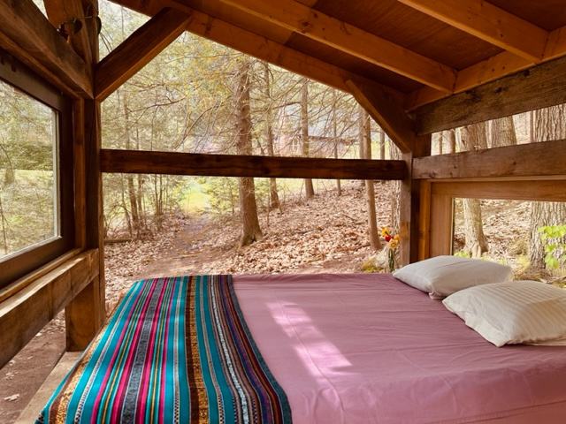 Forest Hut in Western Mass
