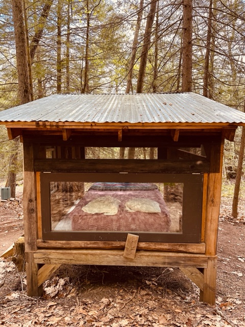 Forest Hut in Western Mass