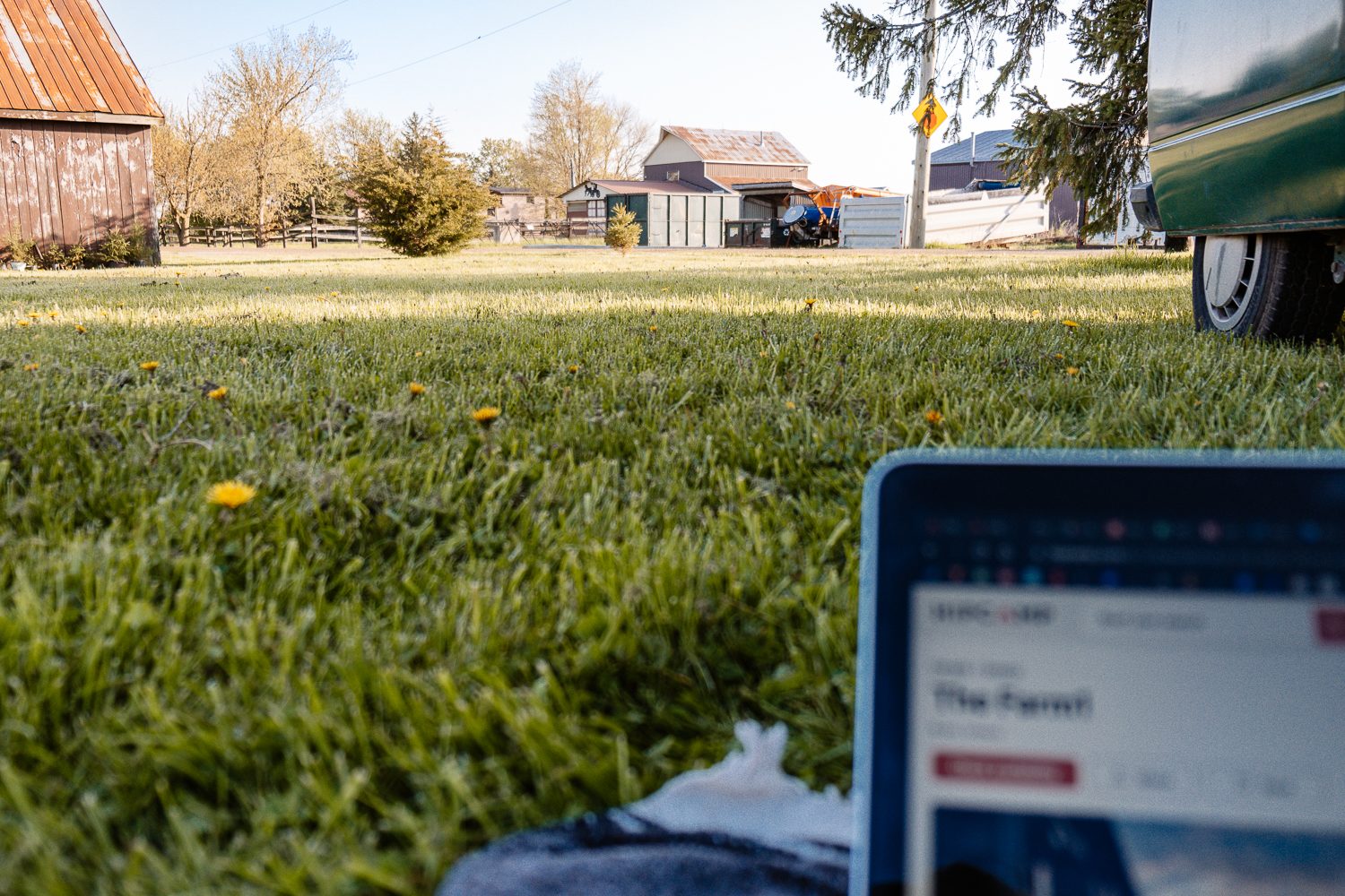 I just loved laying in the grass! And I had wifi at my campsite