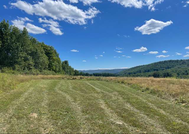 Your View from Firefly Hill Site