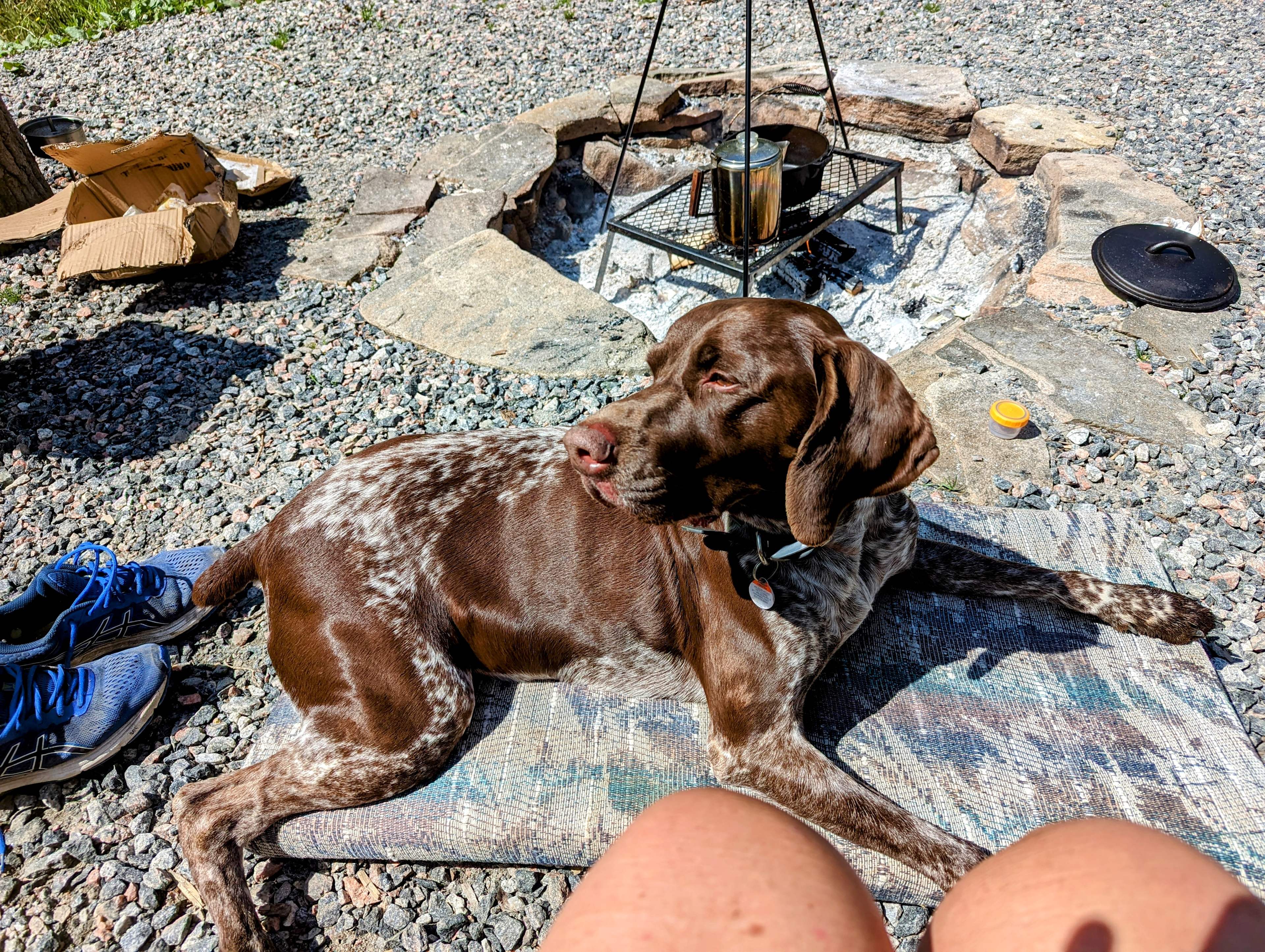 Off Grid Dark Sky River Retreat