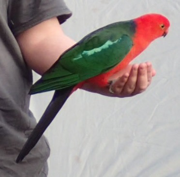 Big Island Bend on the Clyde River