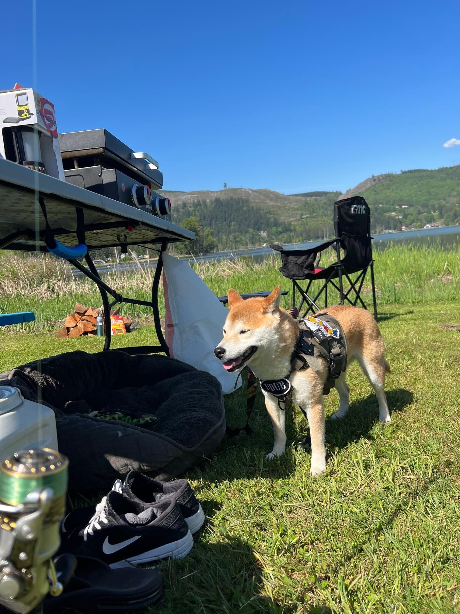 Vital Farm at Clear Lake