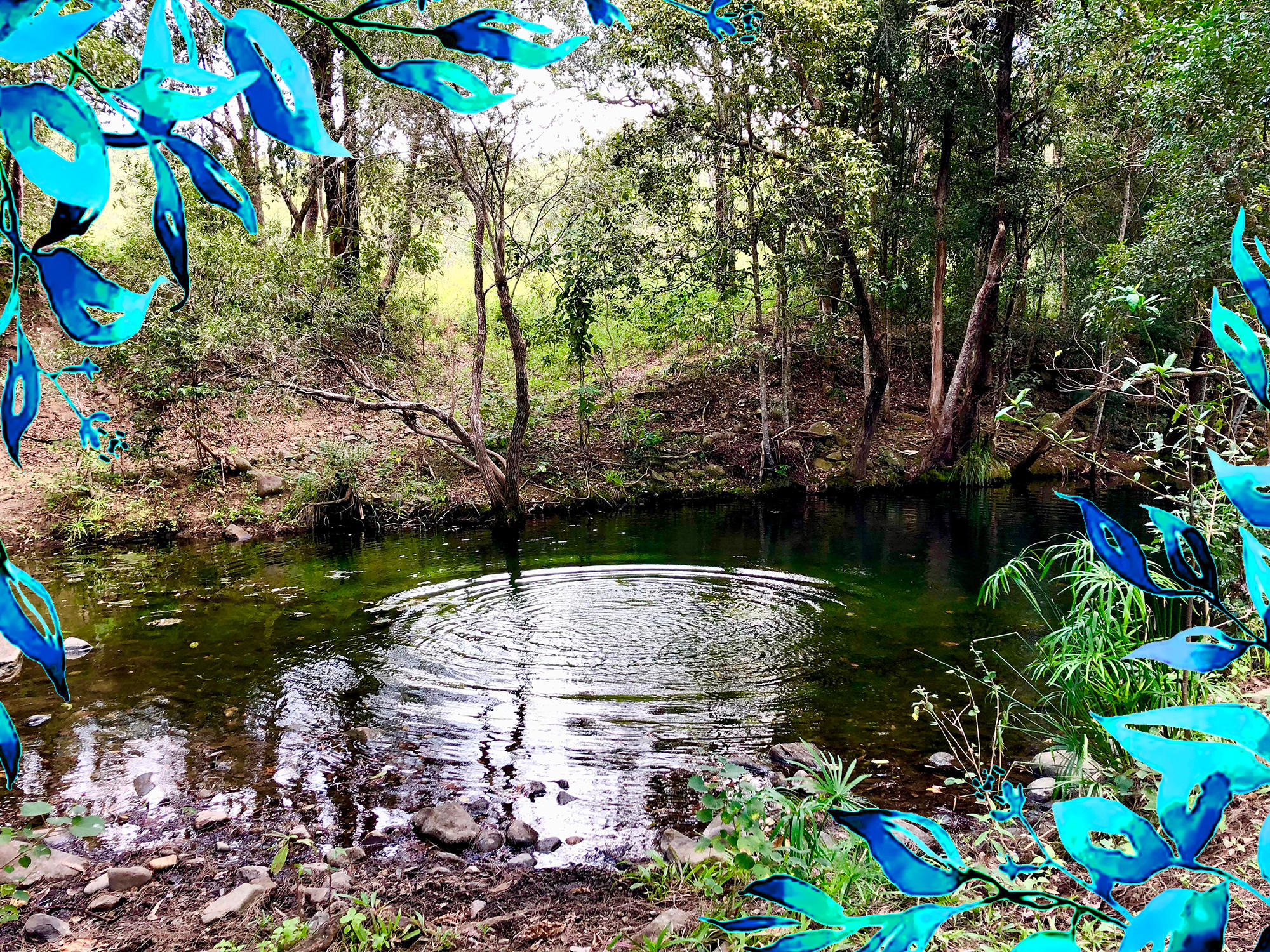 Blue Tree Campground