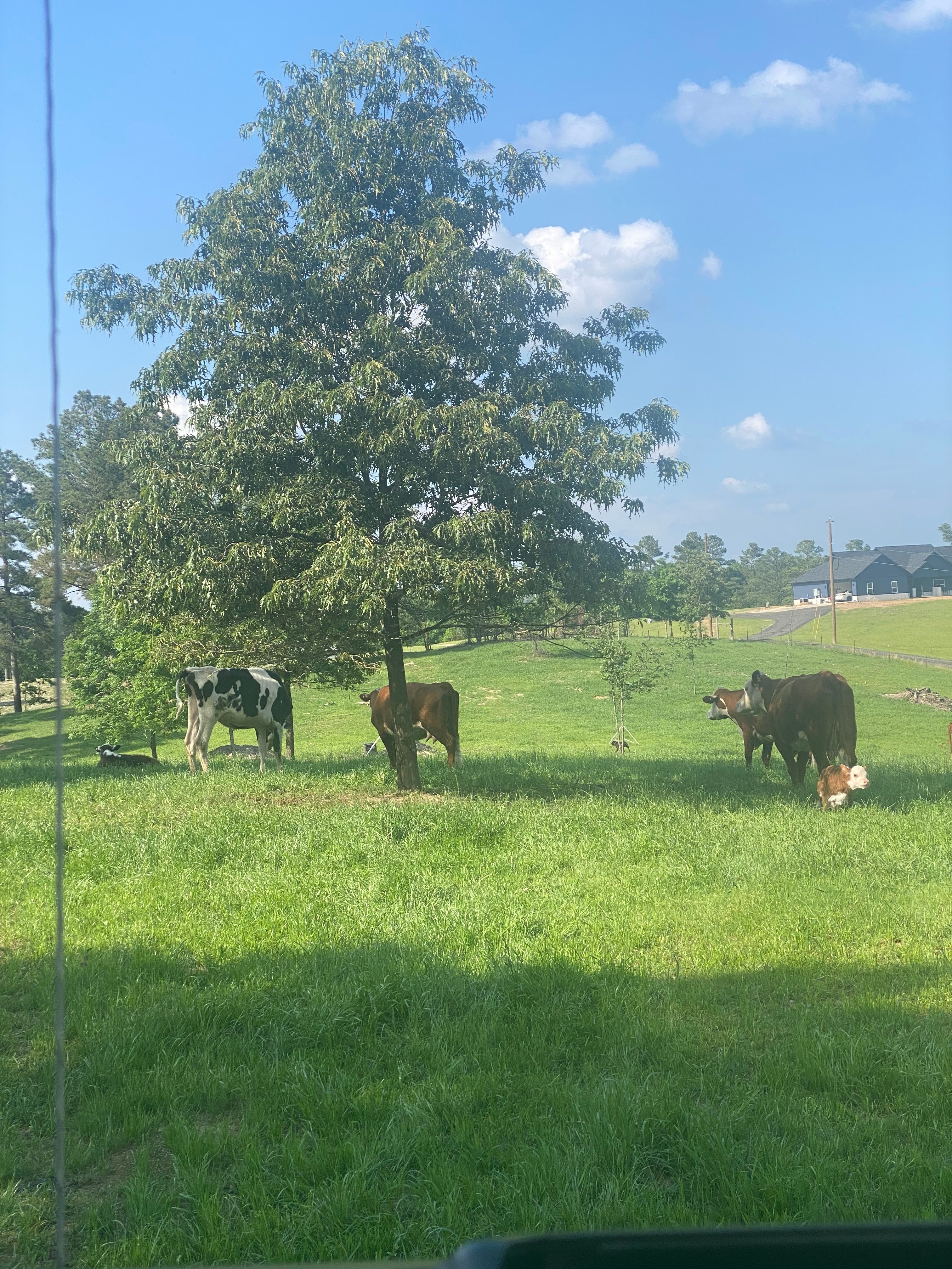 Cedar Creek Farms Camp