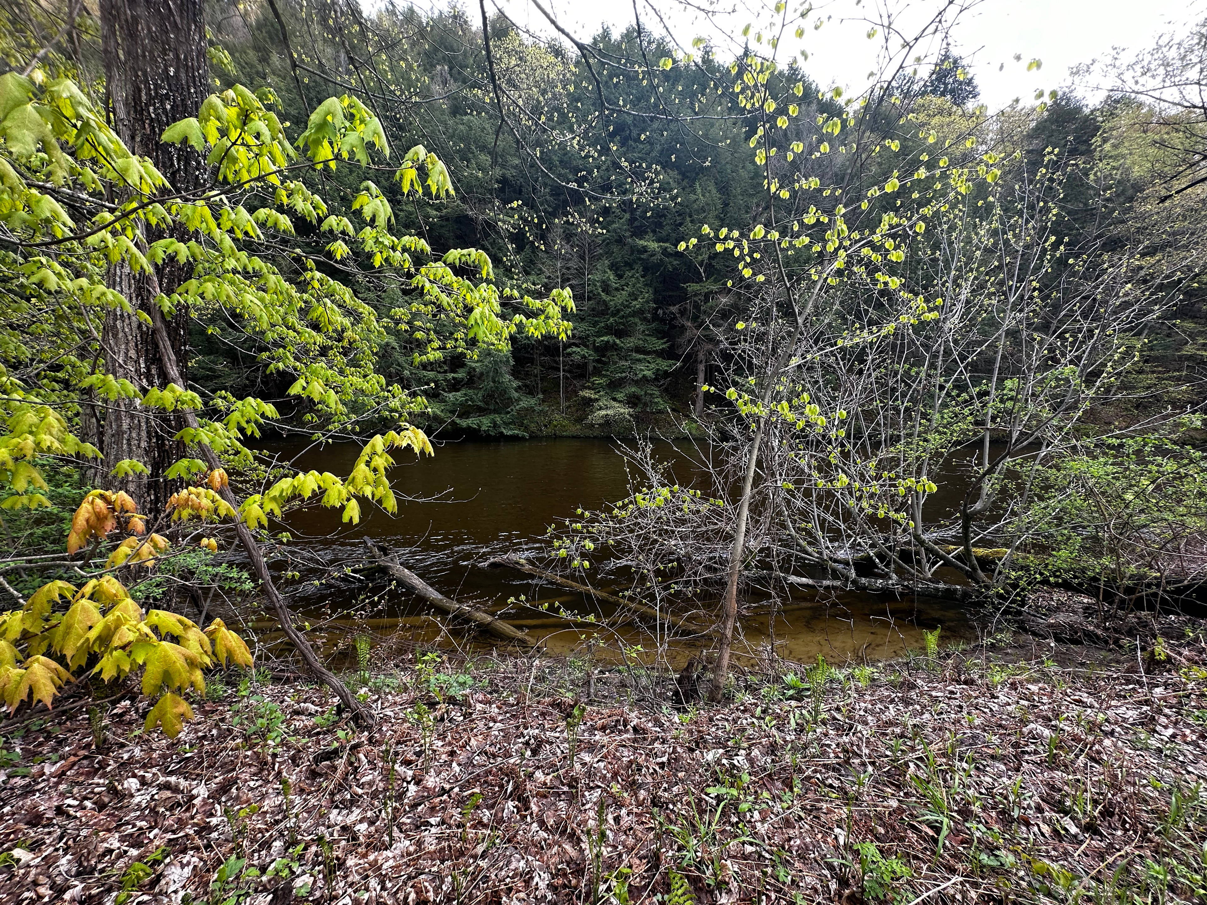Mountain Rise Farm and Campground