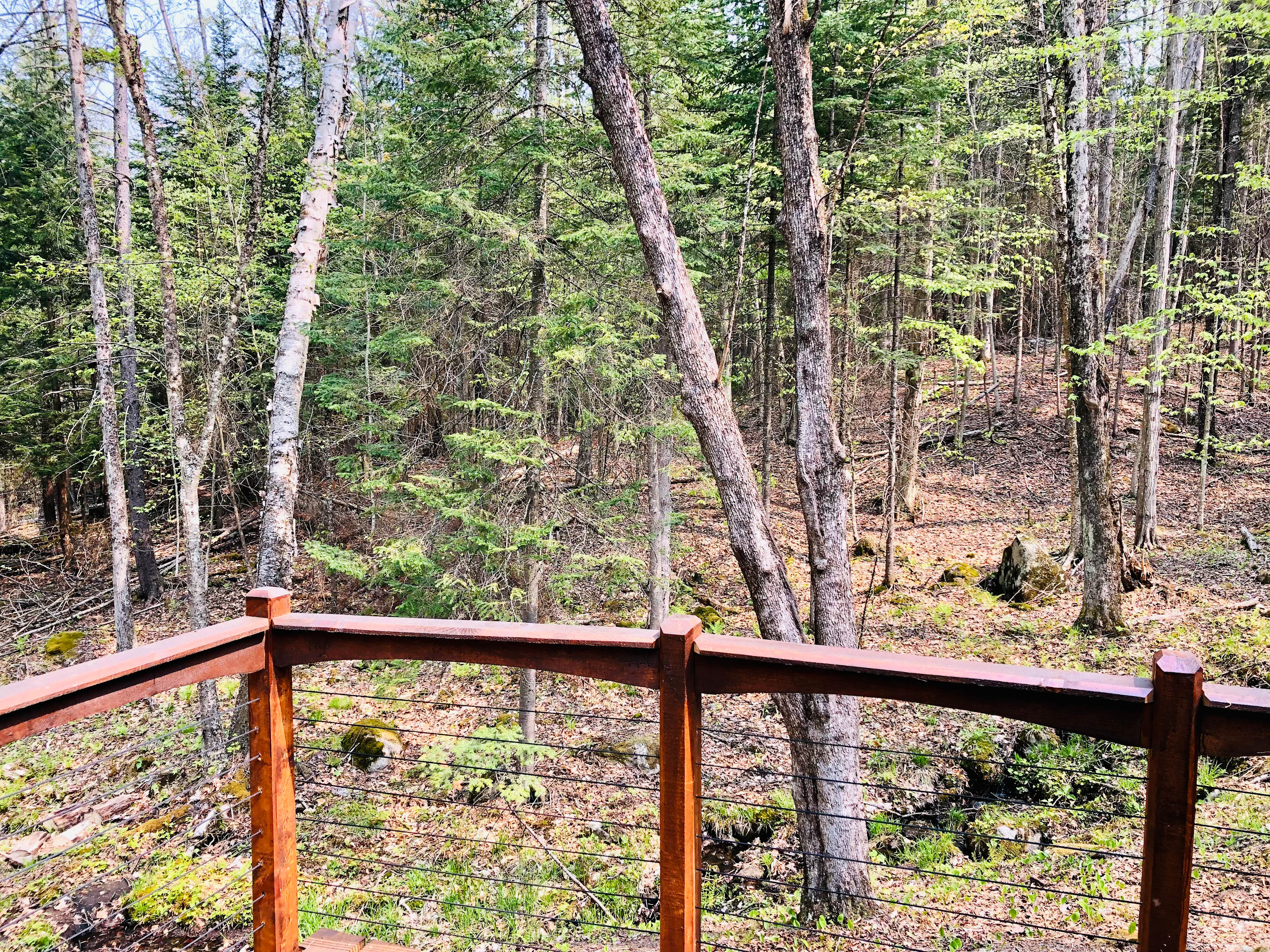 Early spring view from deck