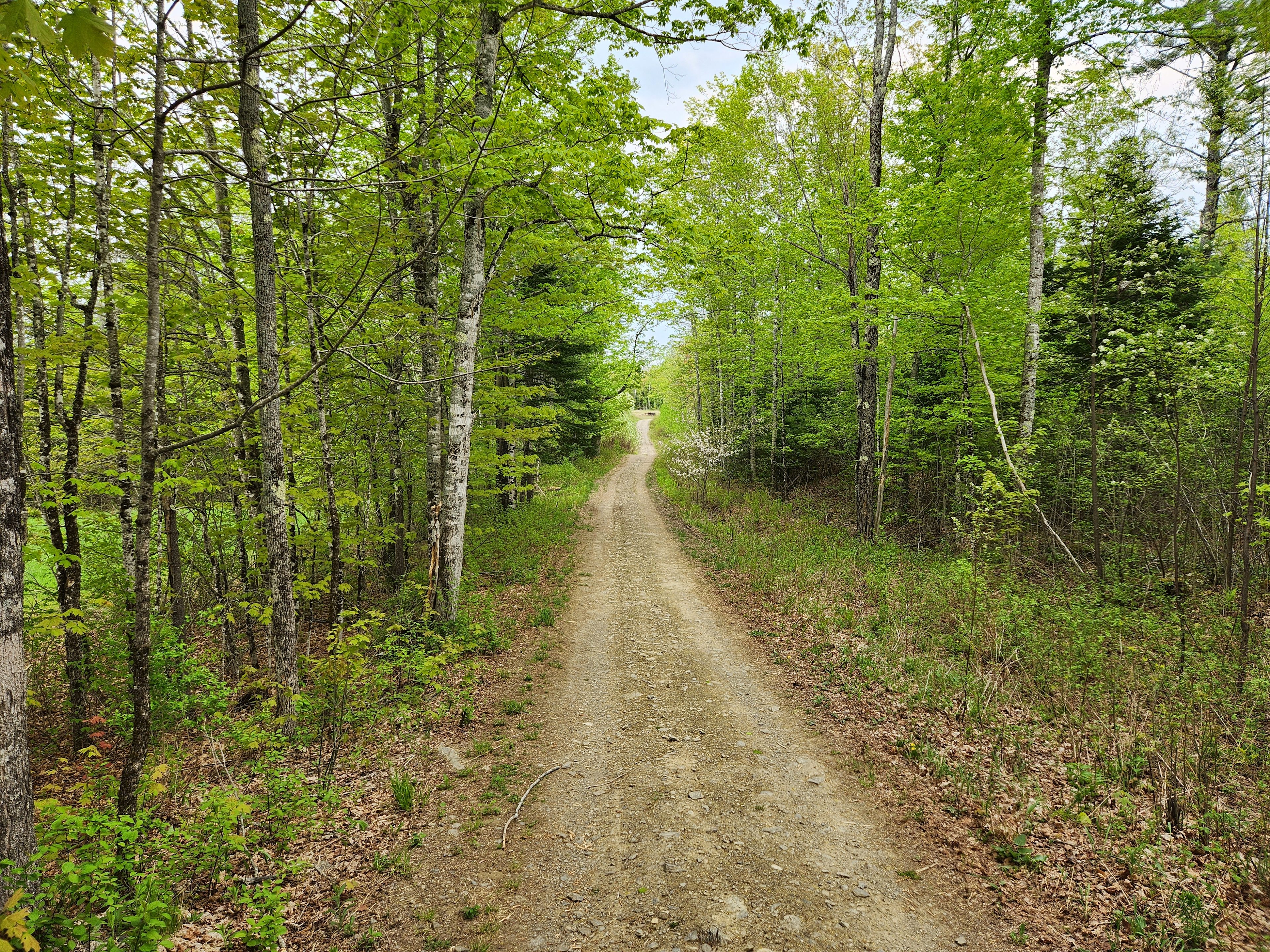 15 Mile Stream 365 acre campground