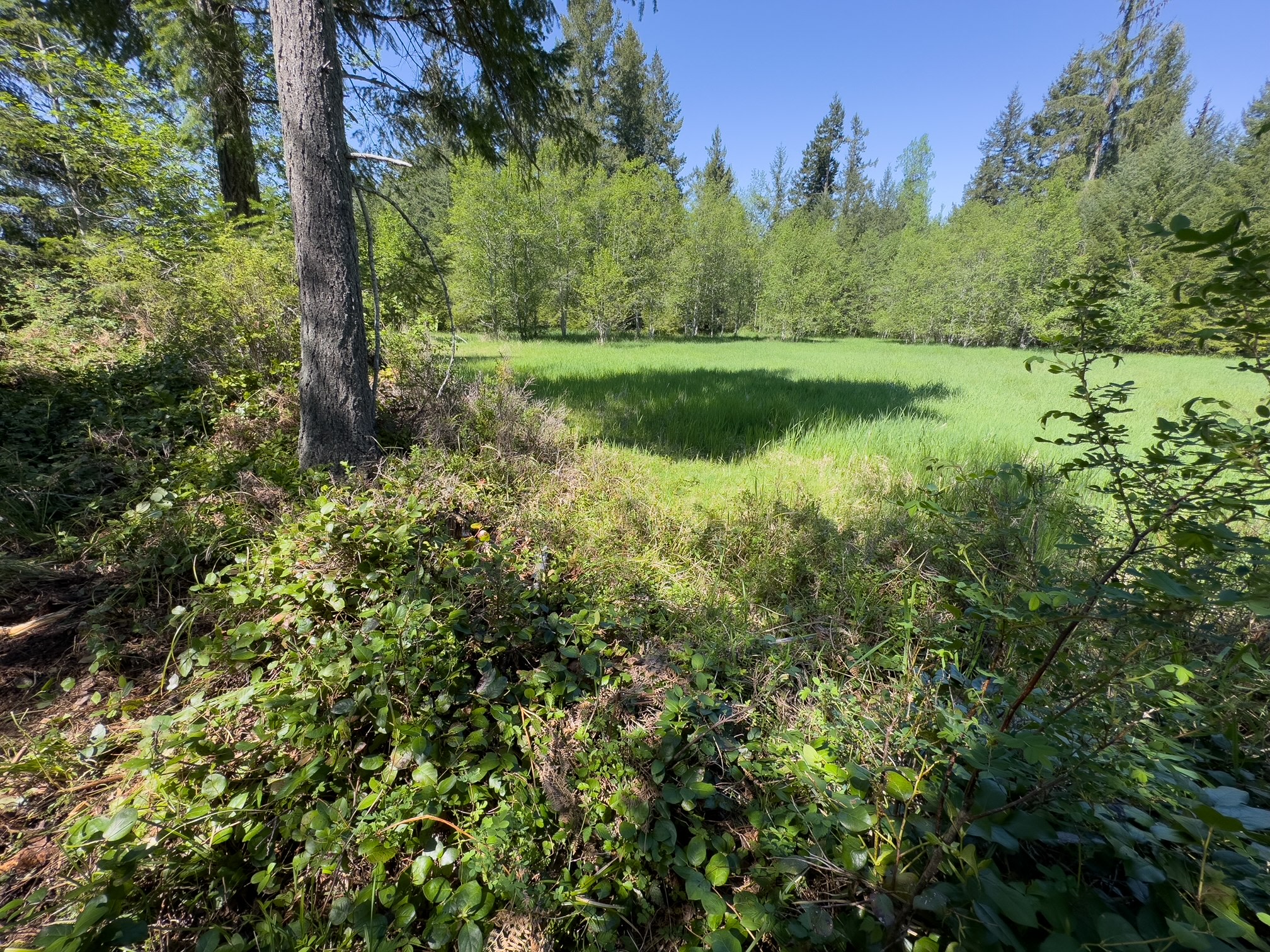 Tyee Valley Farm - Private Forest Sites in the Comox Valley