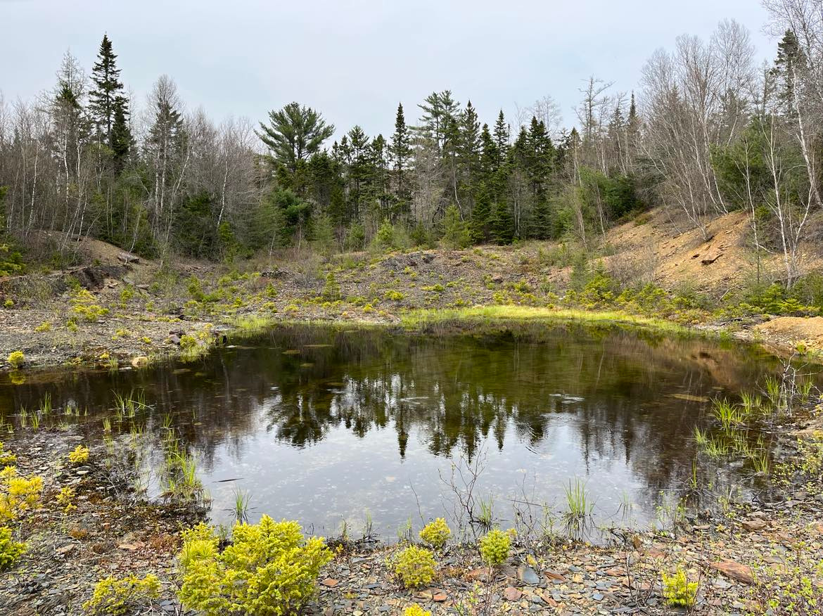 Caroline’s Mirror is a beautiful clear pool in the Central Vale. It is one of several rain fed pools that we call The Moonwells.