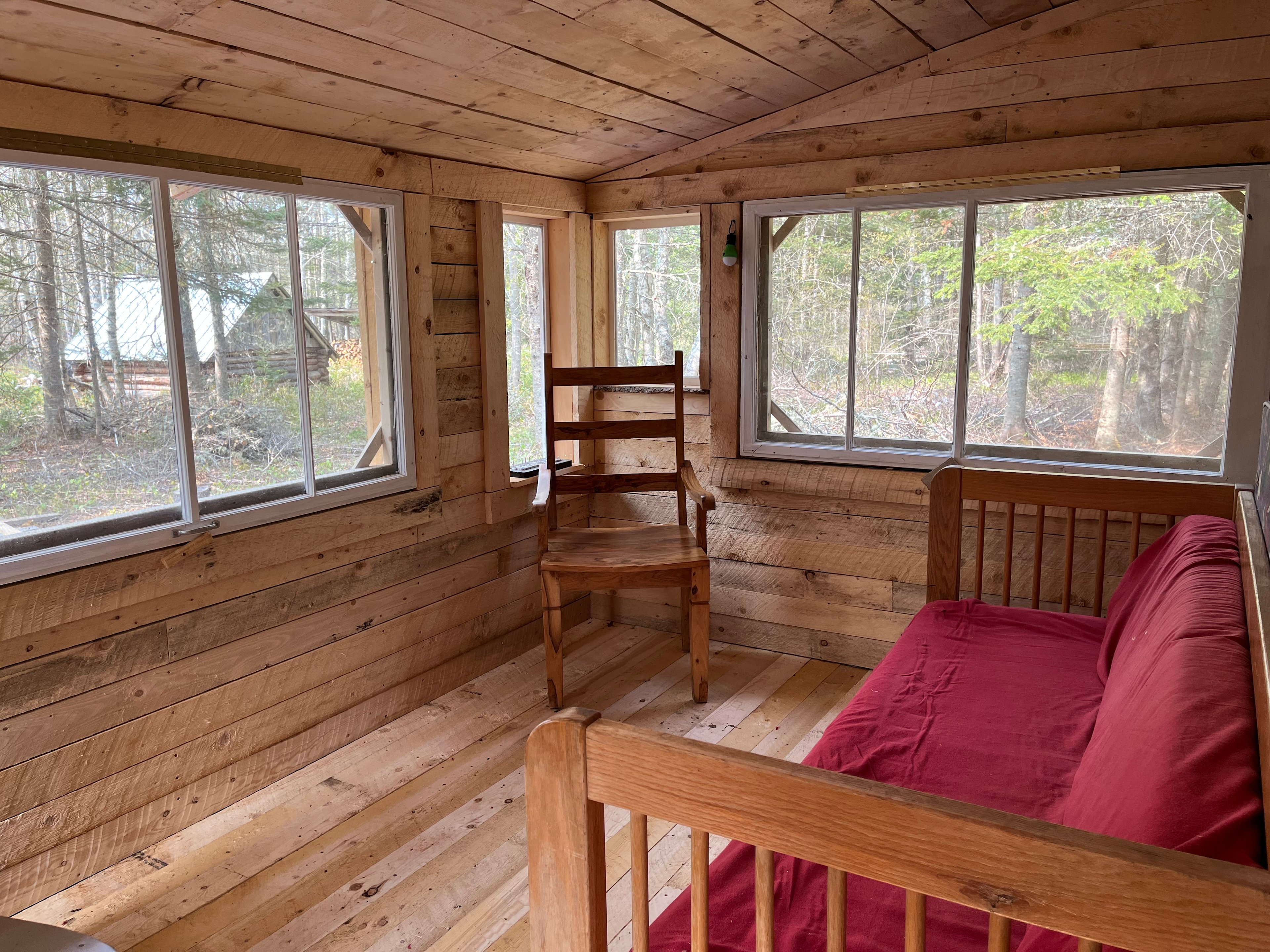 Paws Crossing: a woods retreat.