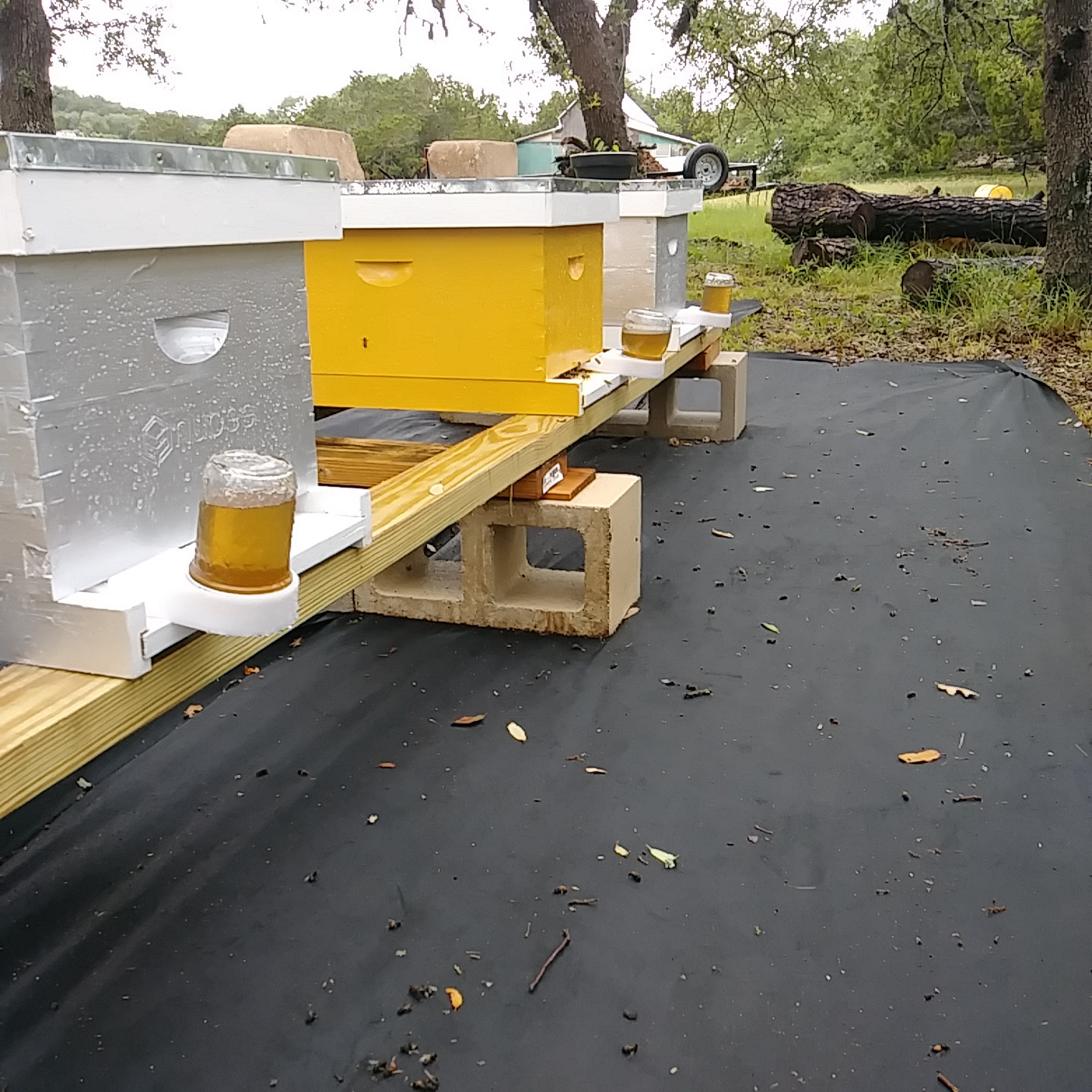 UPICK Blackberry Farm