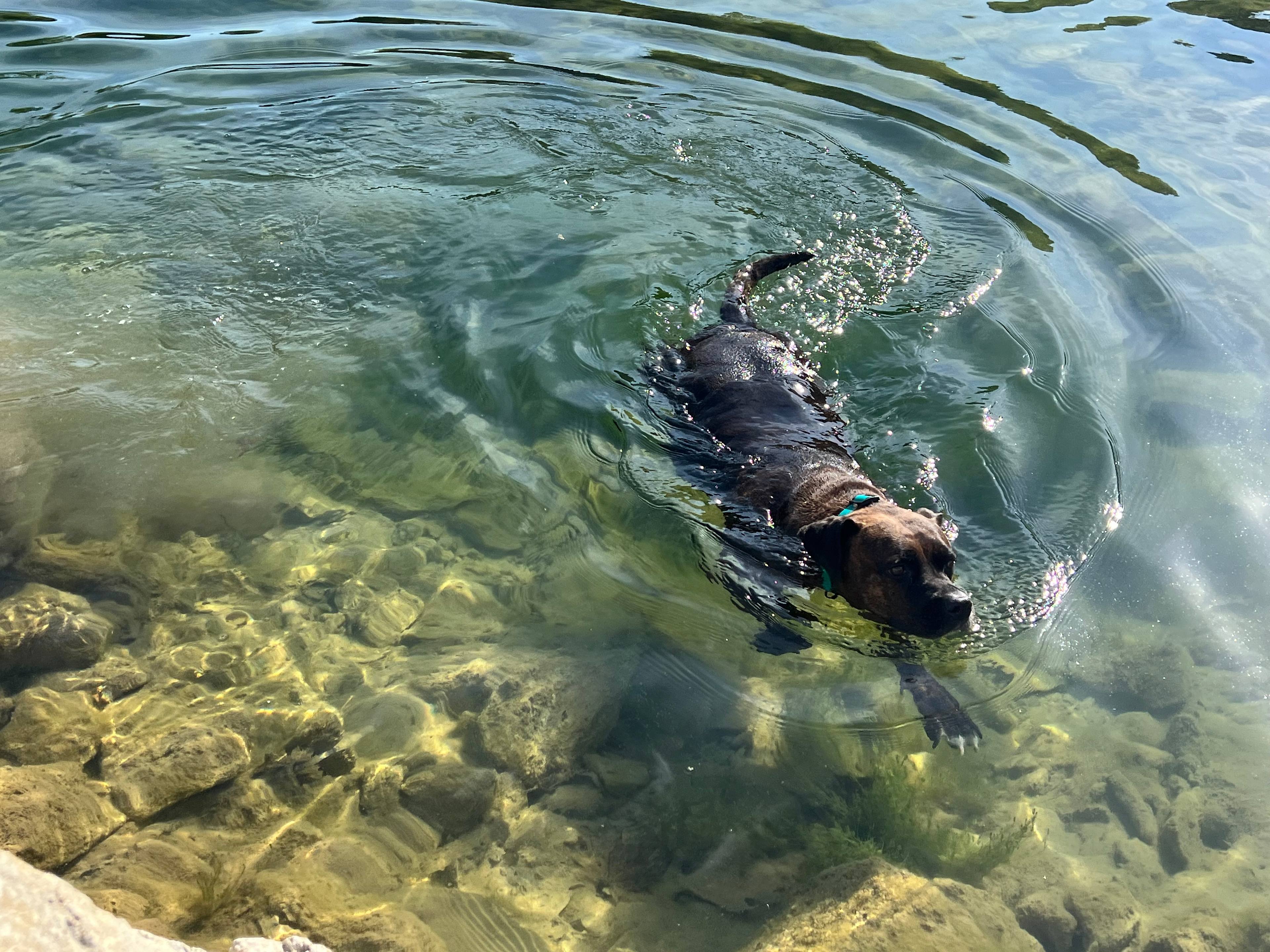 Compound Campgound Nature Preserve