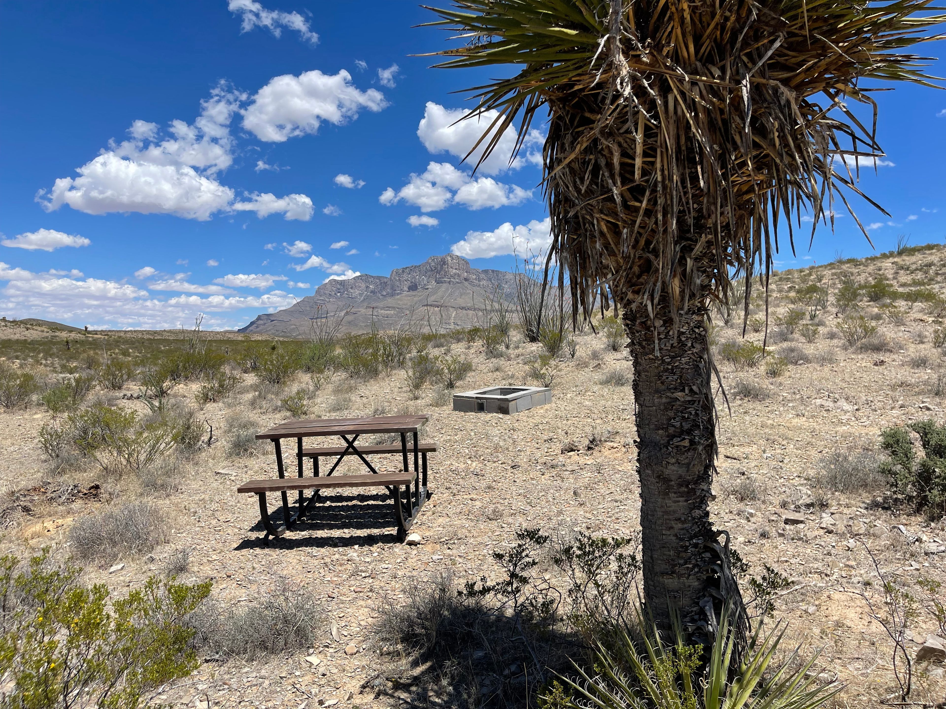 Picnic table and firepit