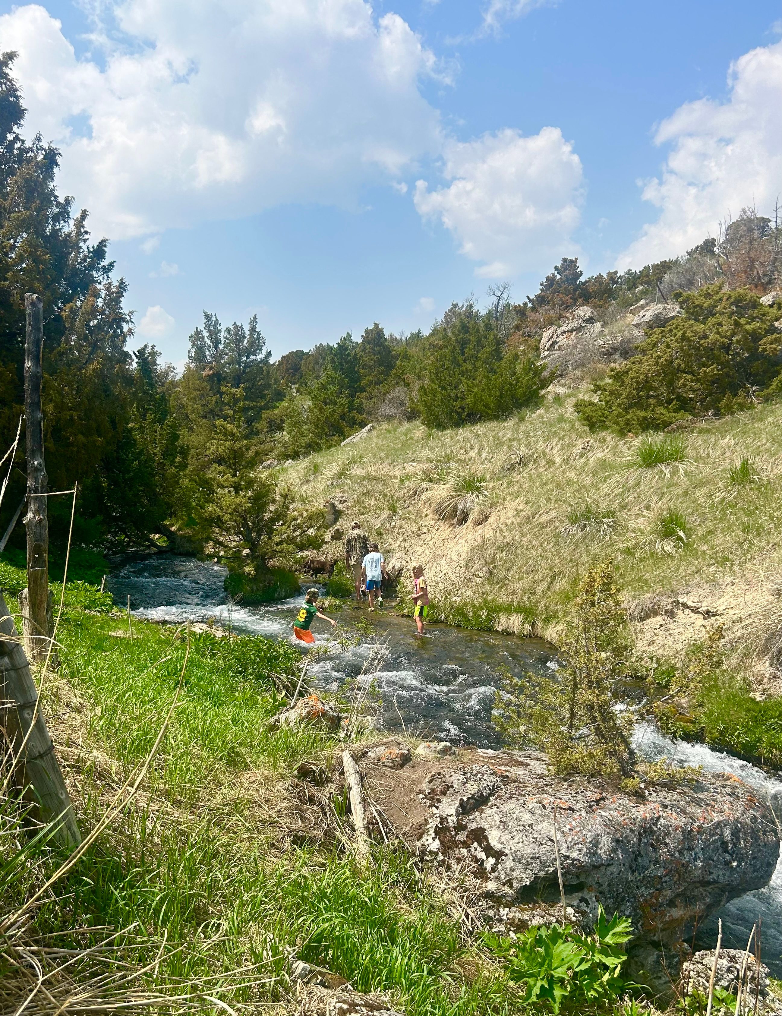 Blaine Creek Boondocks