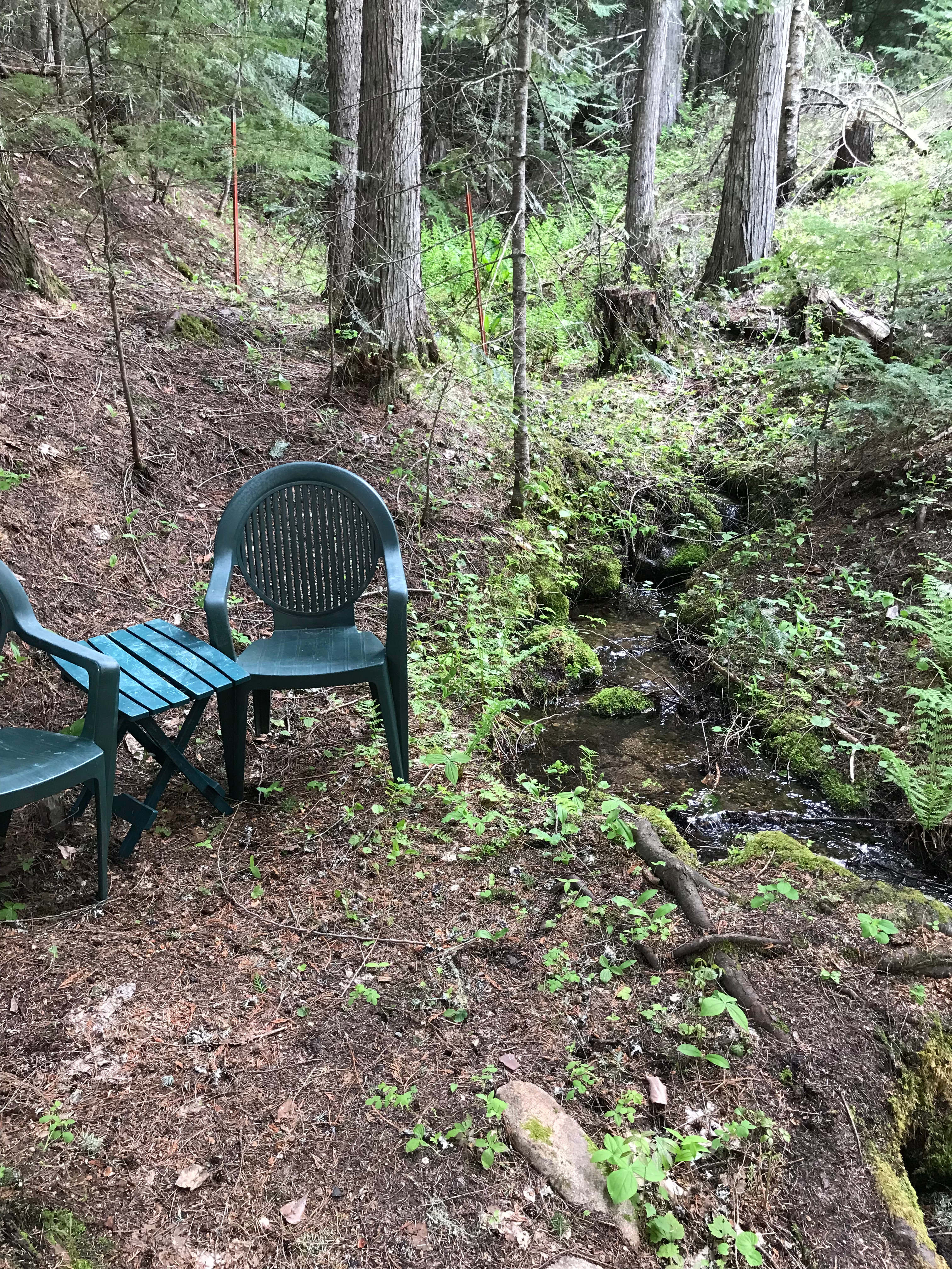 Seating by creek