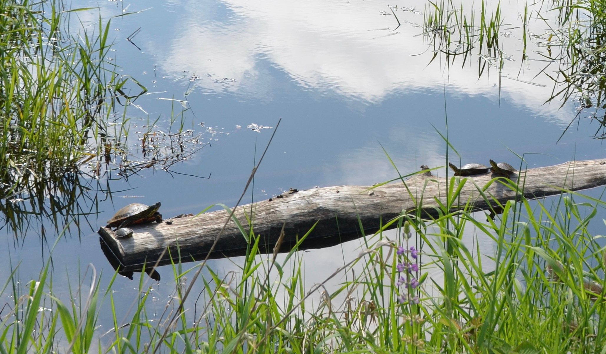 Batwater Station on Columbia River