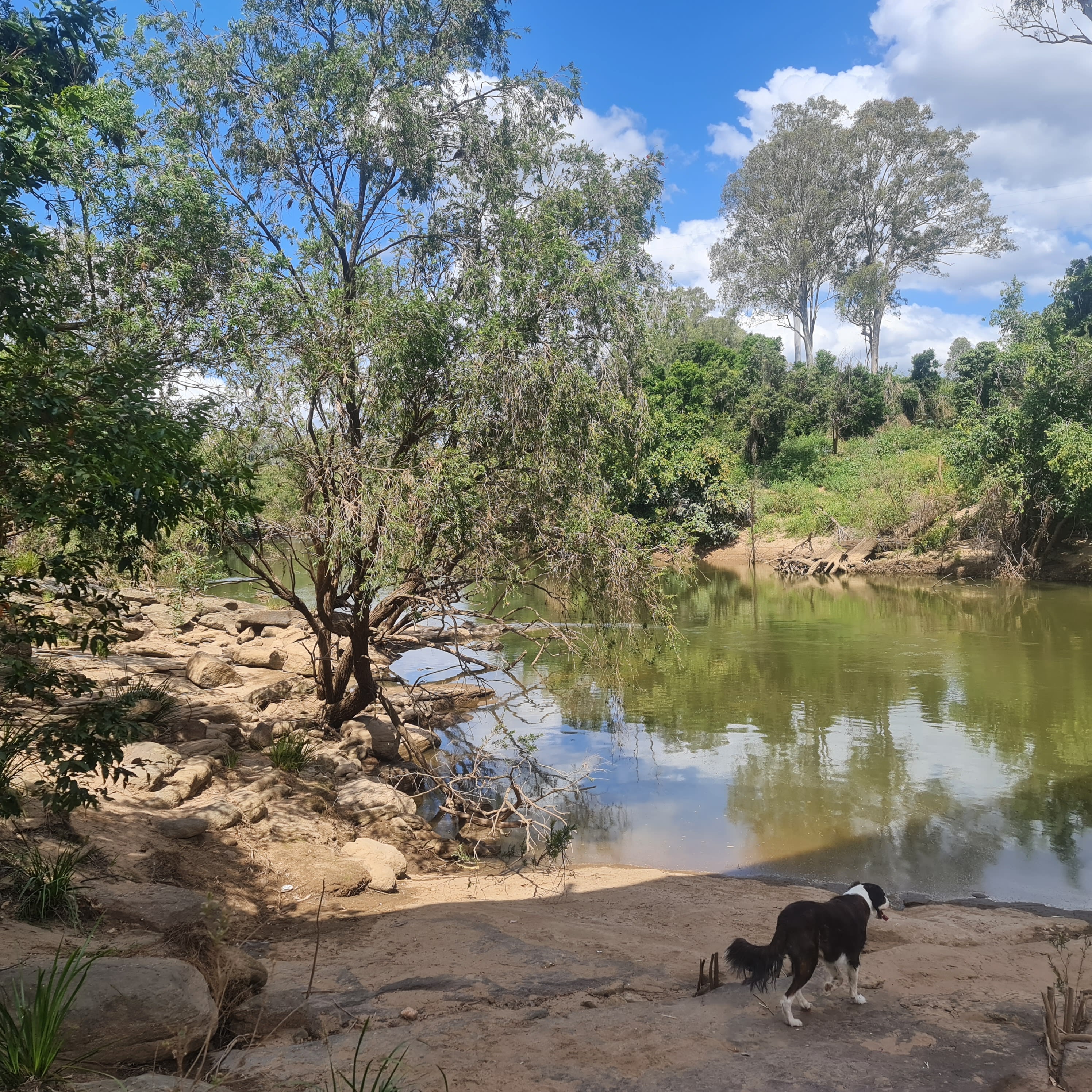Riverbend Mary River hipcamp