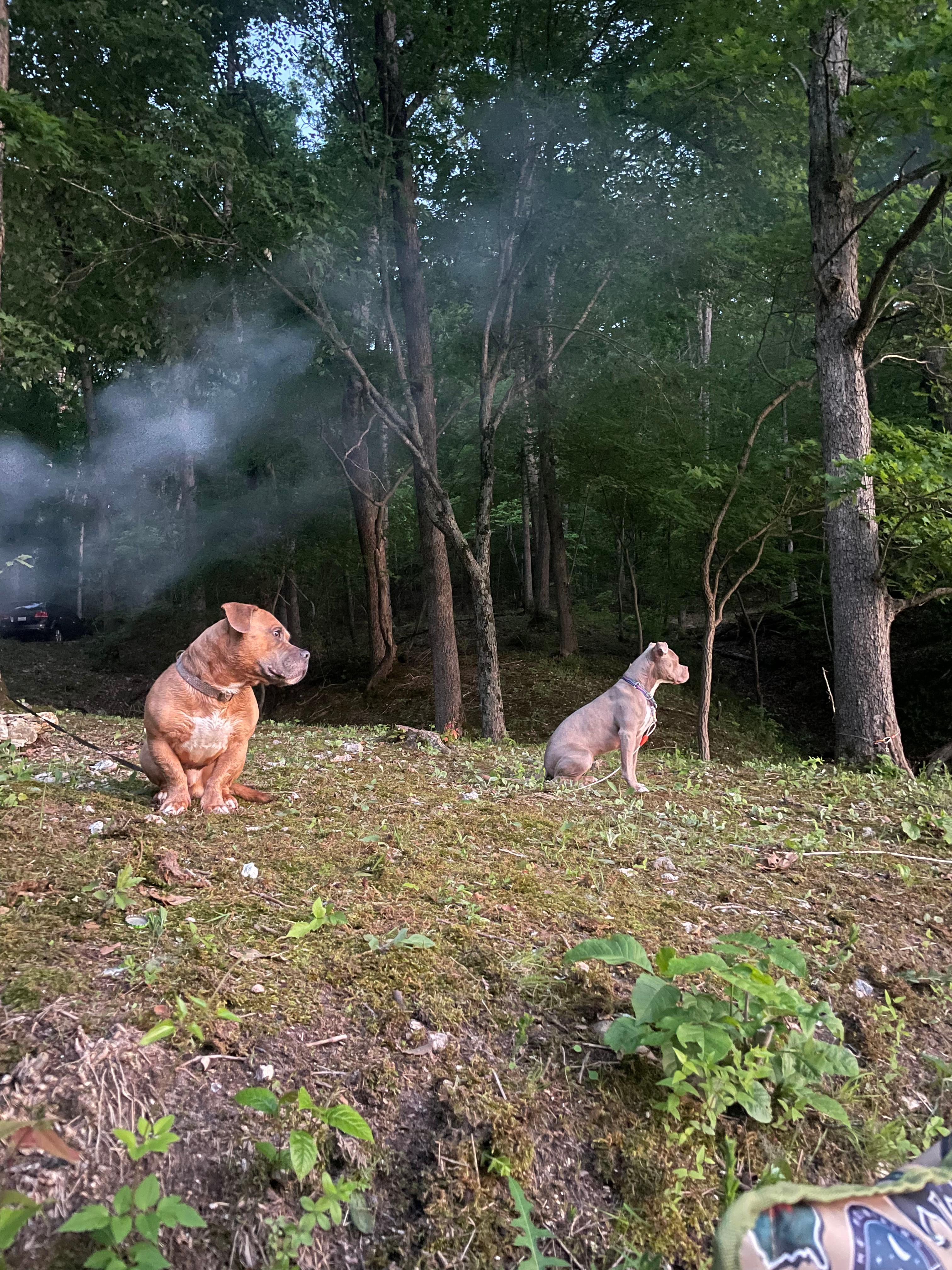 DnD Lakefront Campground Lake Ozark