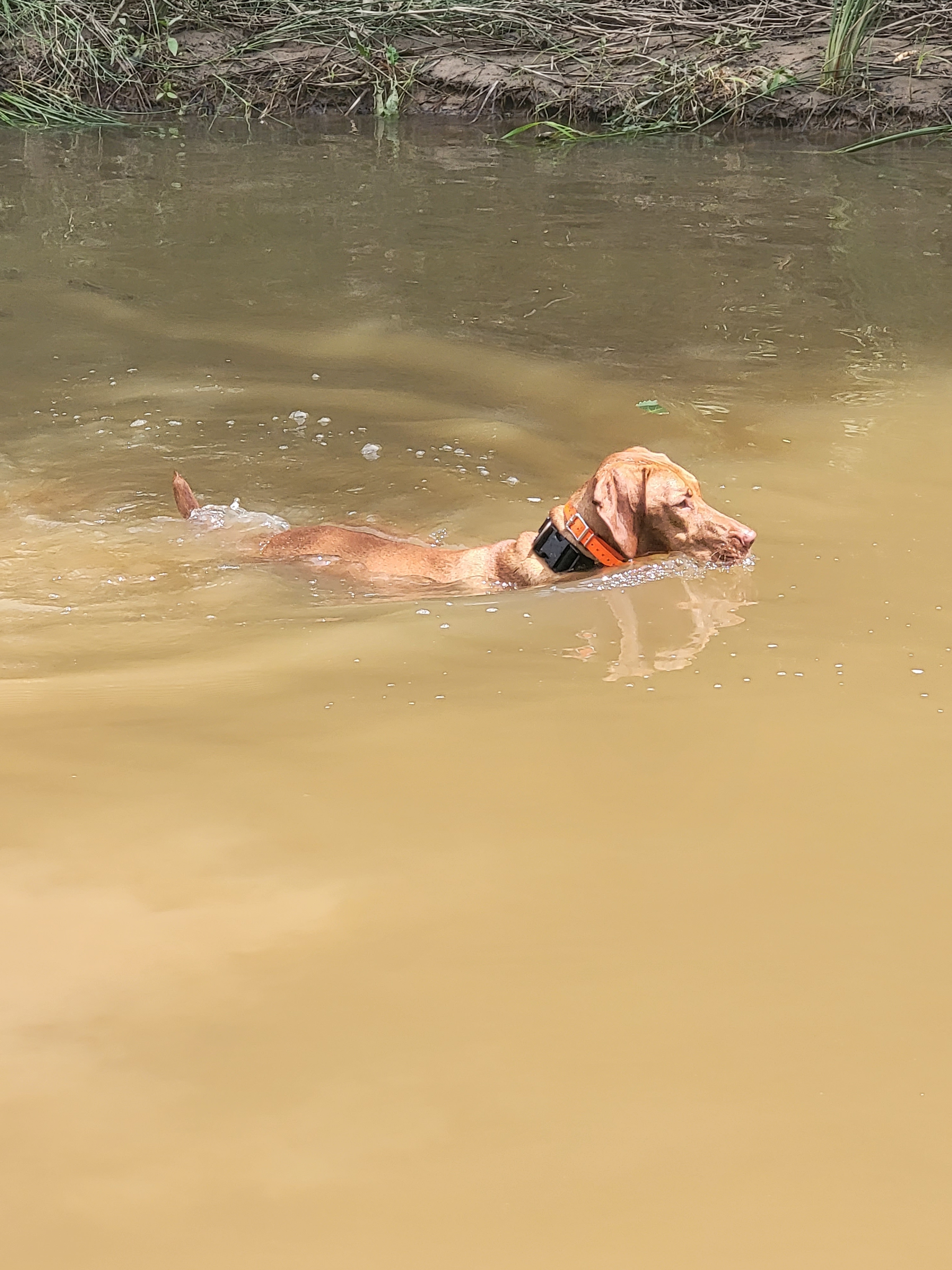 Creekside Brazos Rock Camp & Kayak